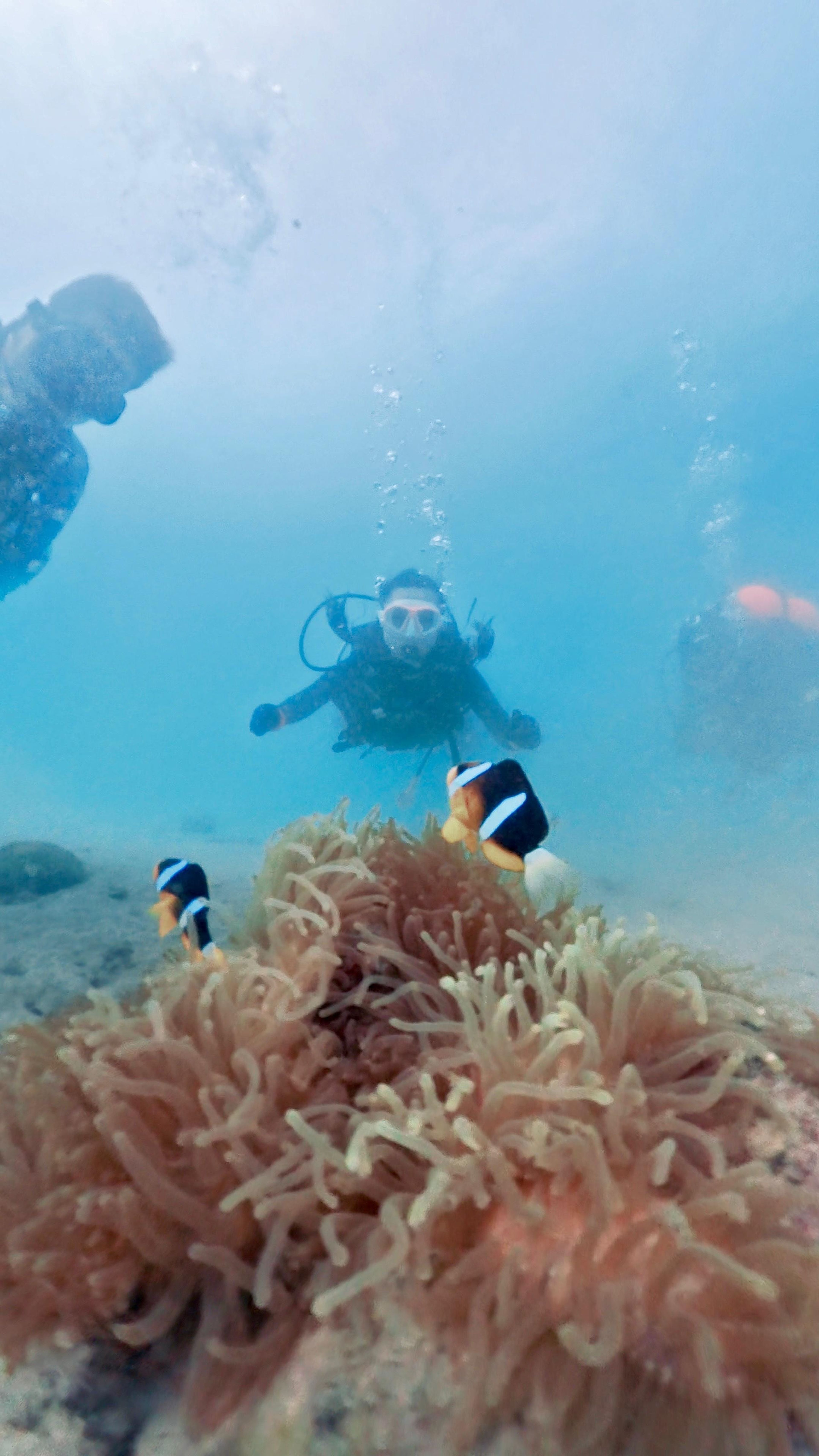 Diver#RMAape's dive log
