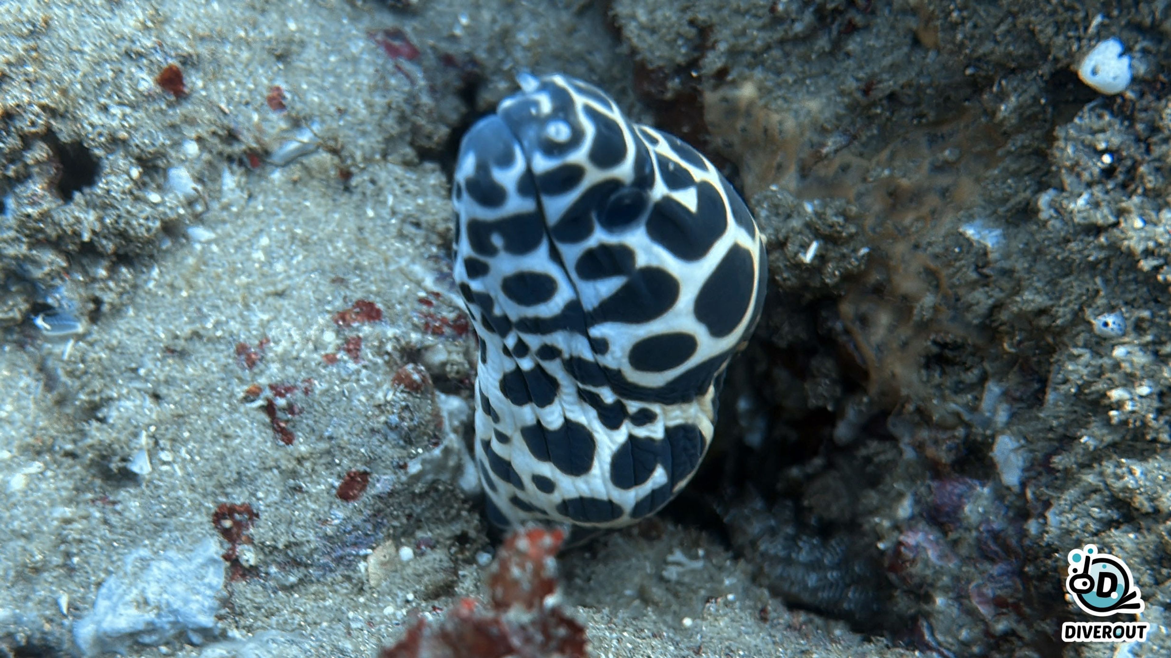 Sodwana Bay, South Africa 