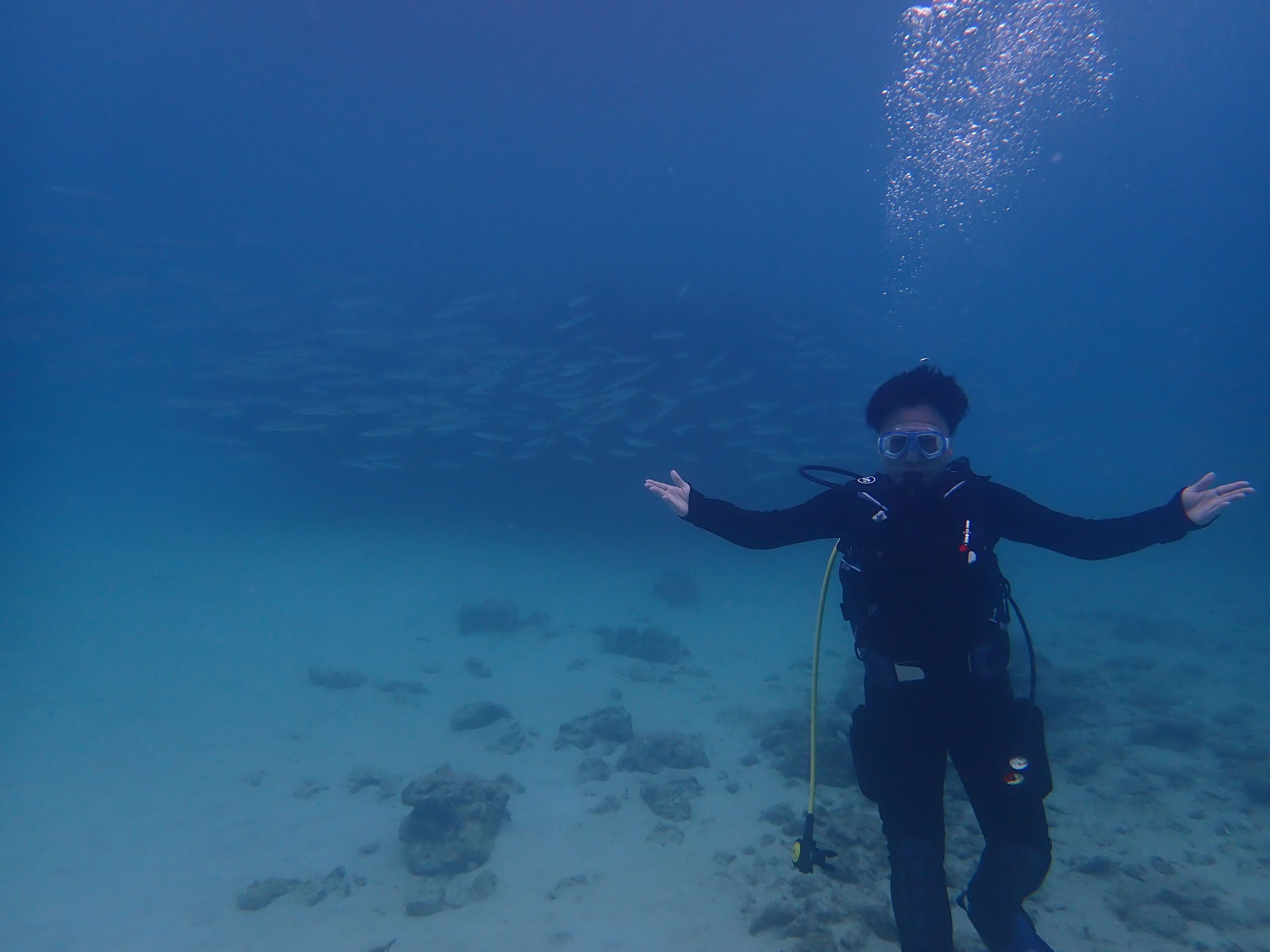 Scuba diving at Gorilla chop