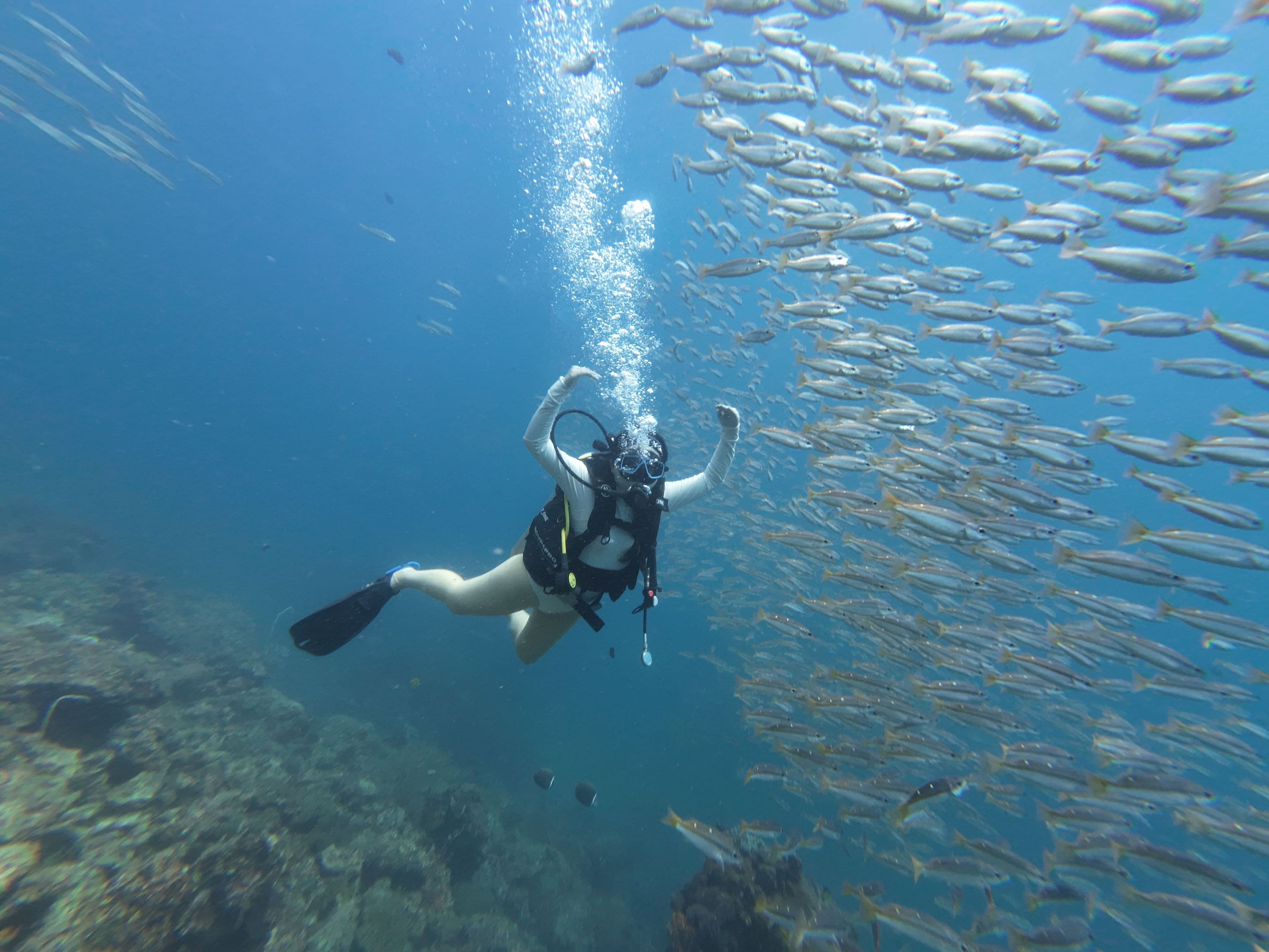 Diver#DIo7Uy's dive log