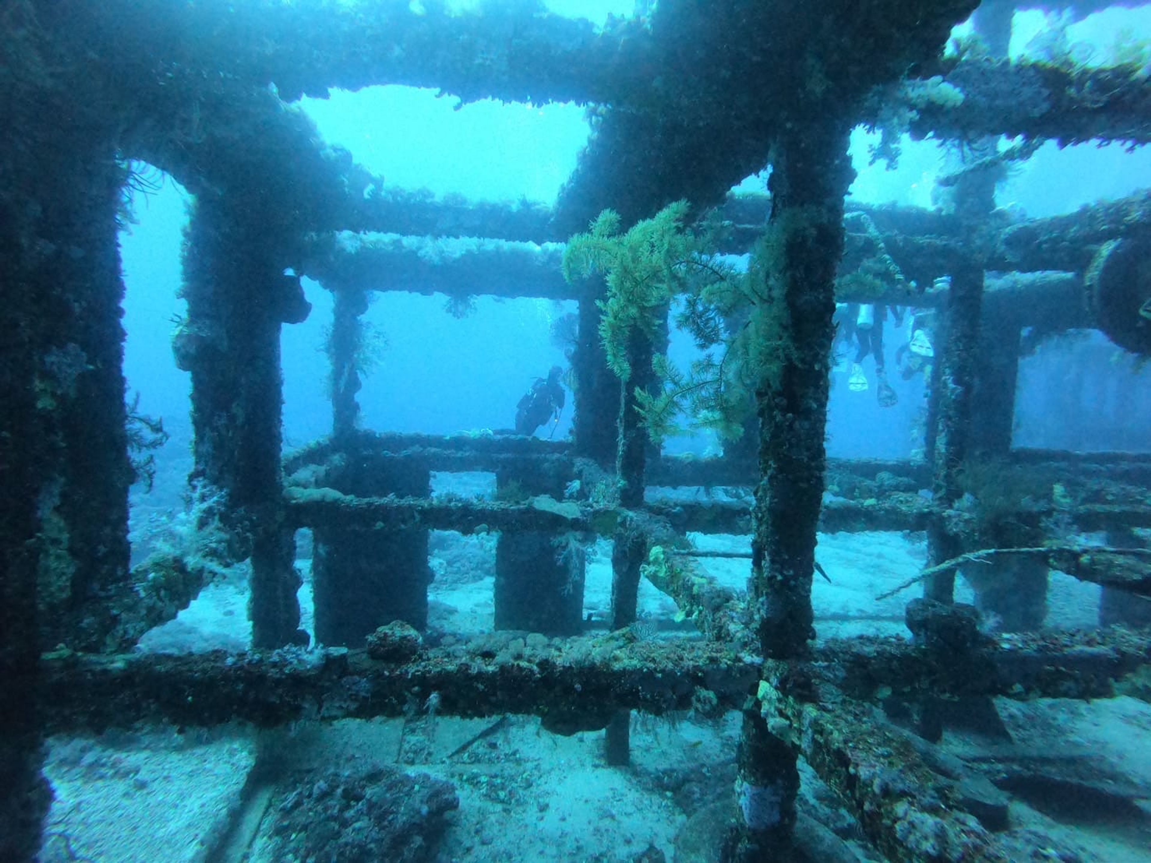 Boris Chih's dive log