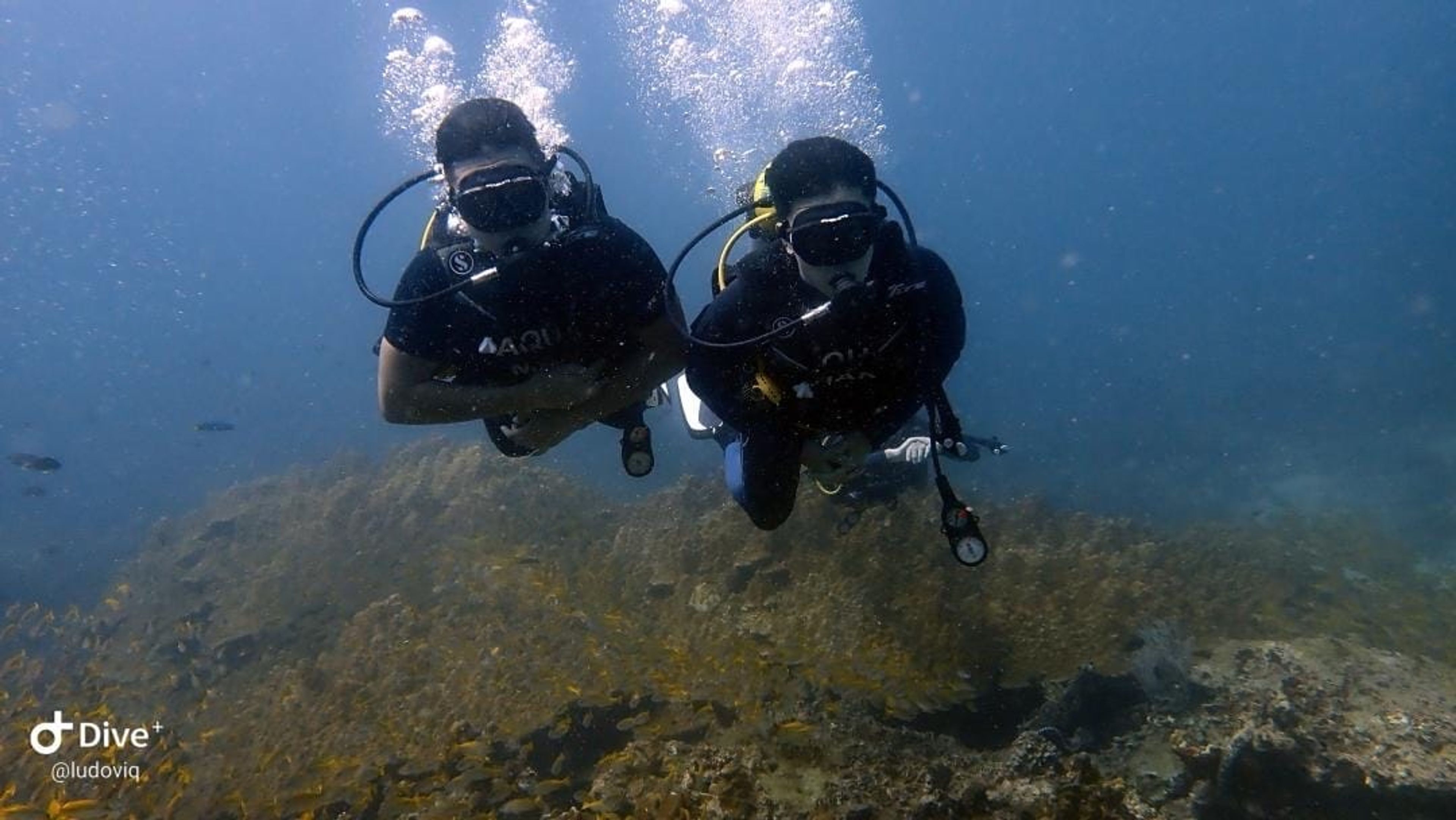 Scuba diving at Phi Phi