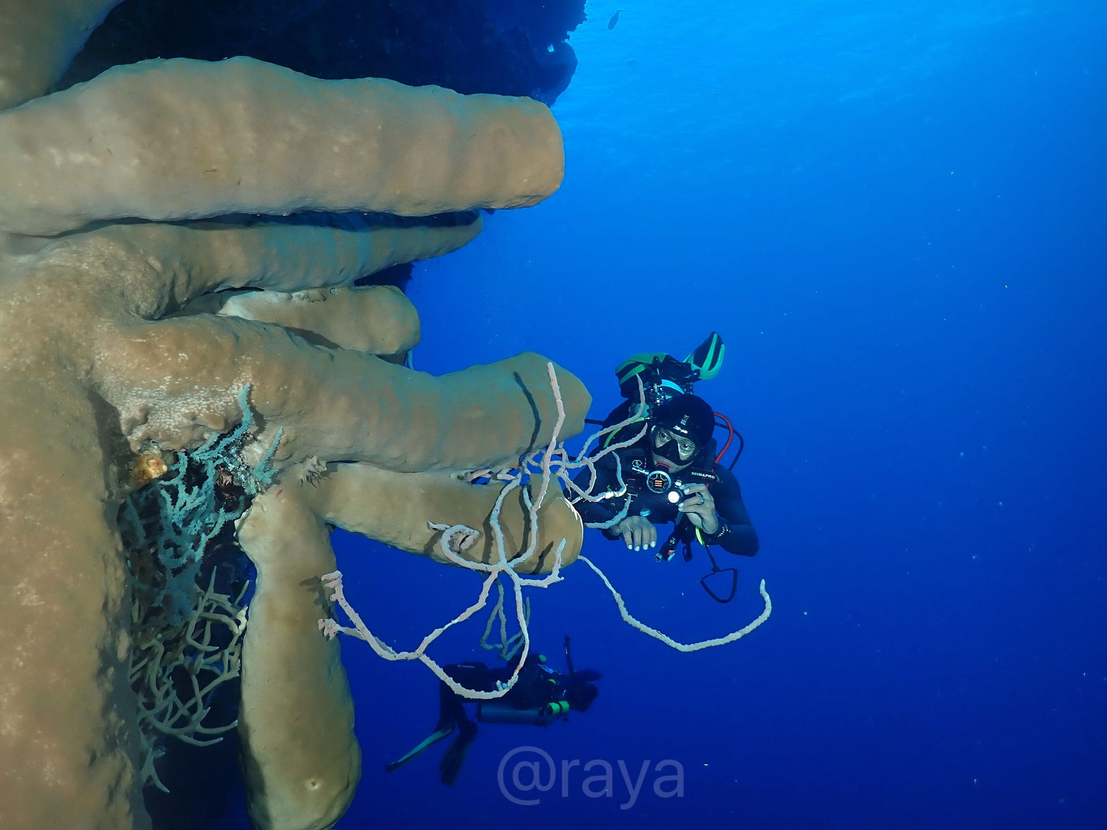 Arianto Hulopi's dive log