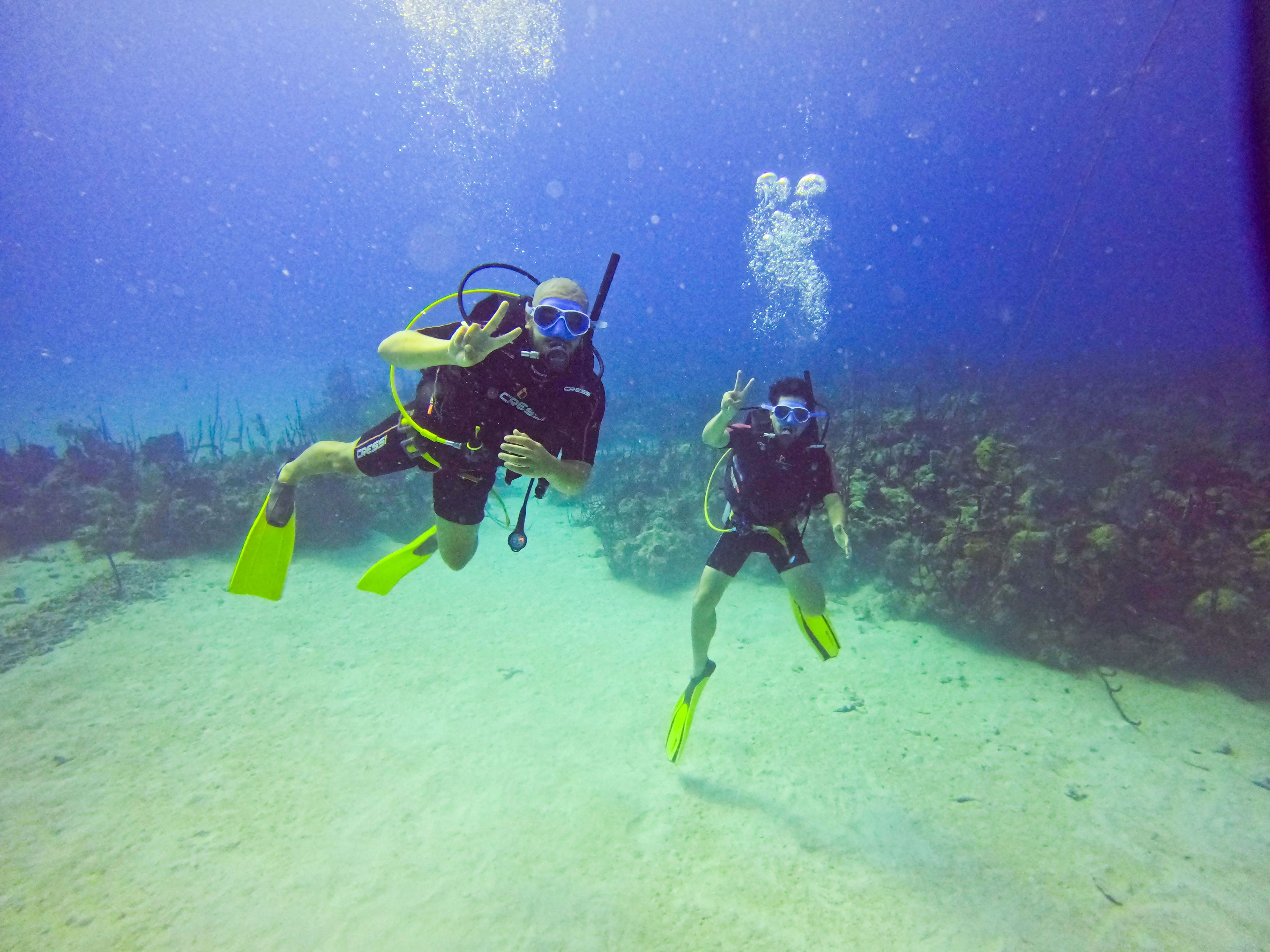 Dominicus Reef