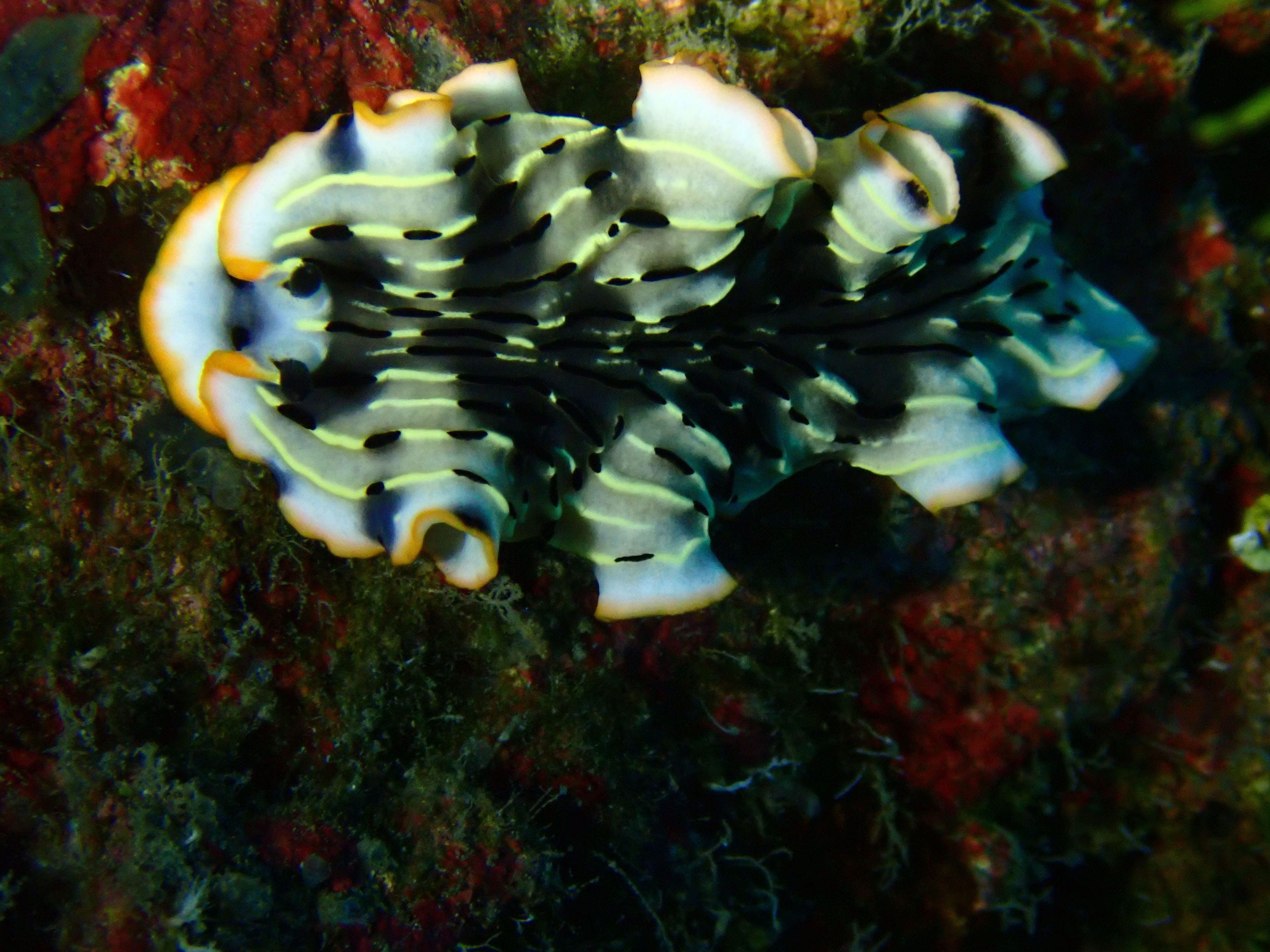 藍洞Blue Hole