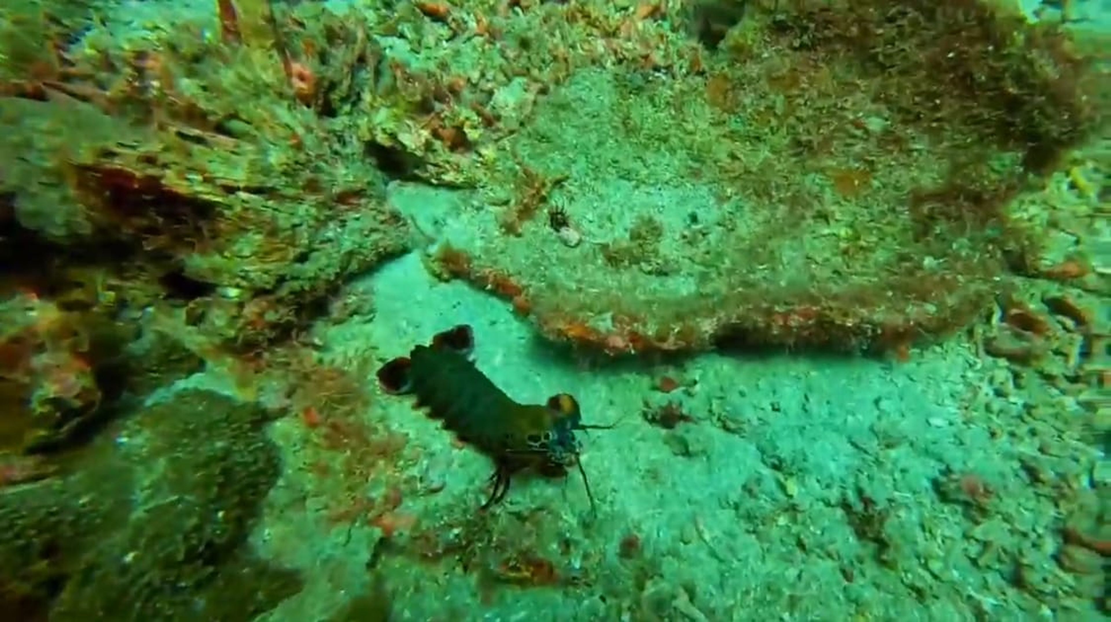 kyungdong kim's dive log