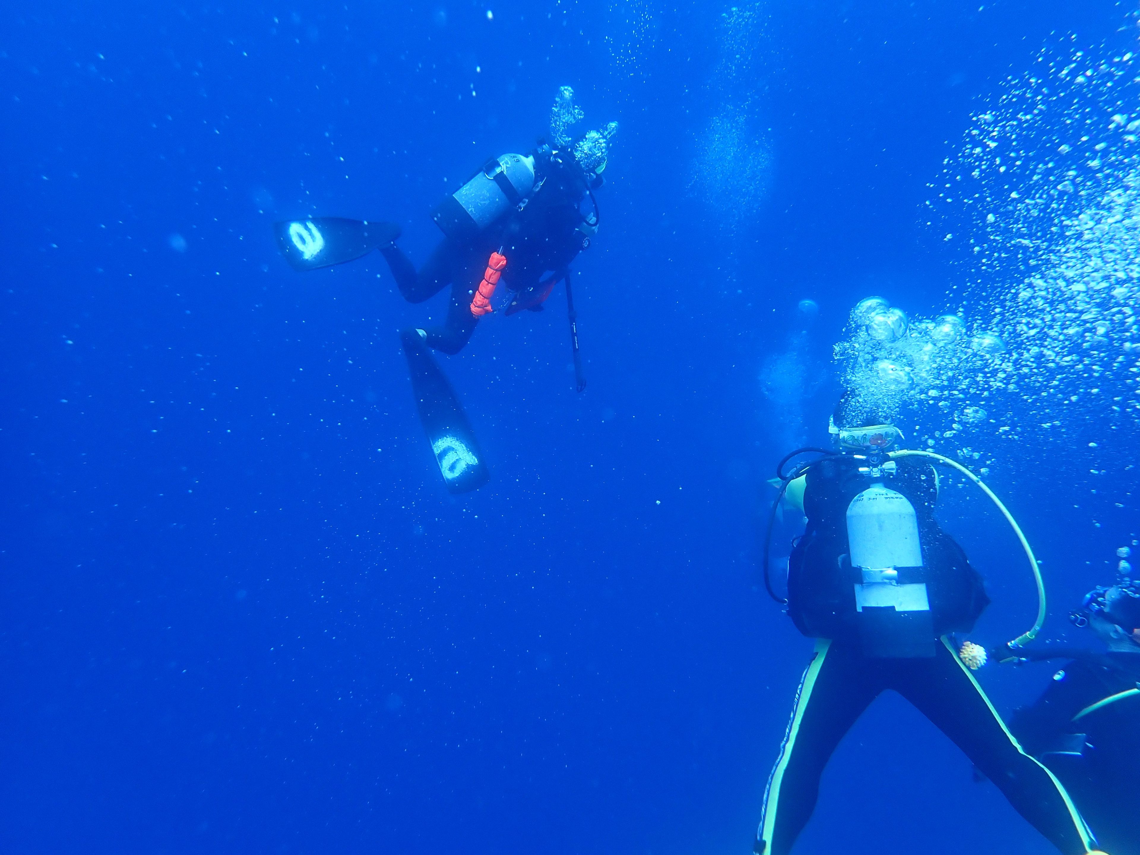Kenichiro Tanaka's dive log