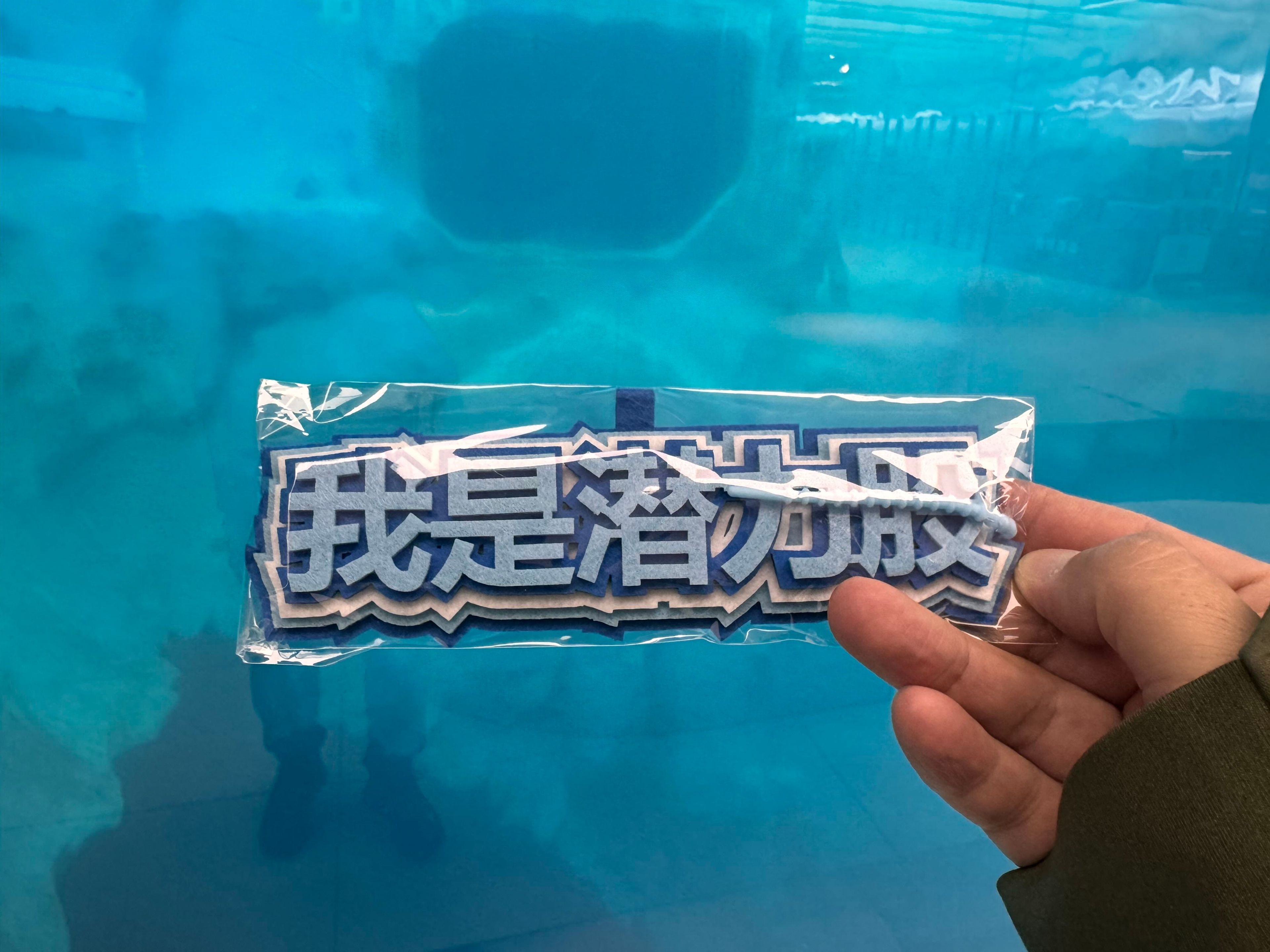 诠伟's dive log