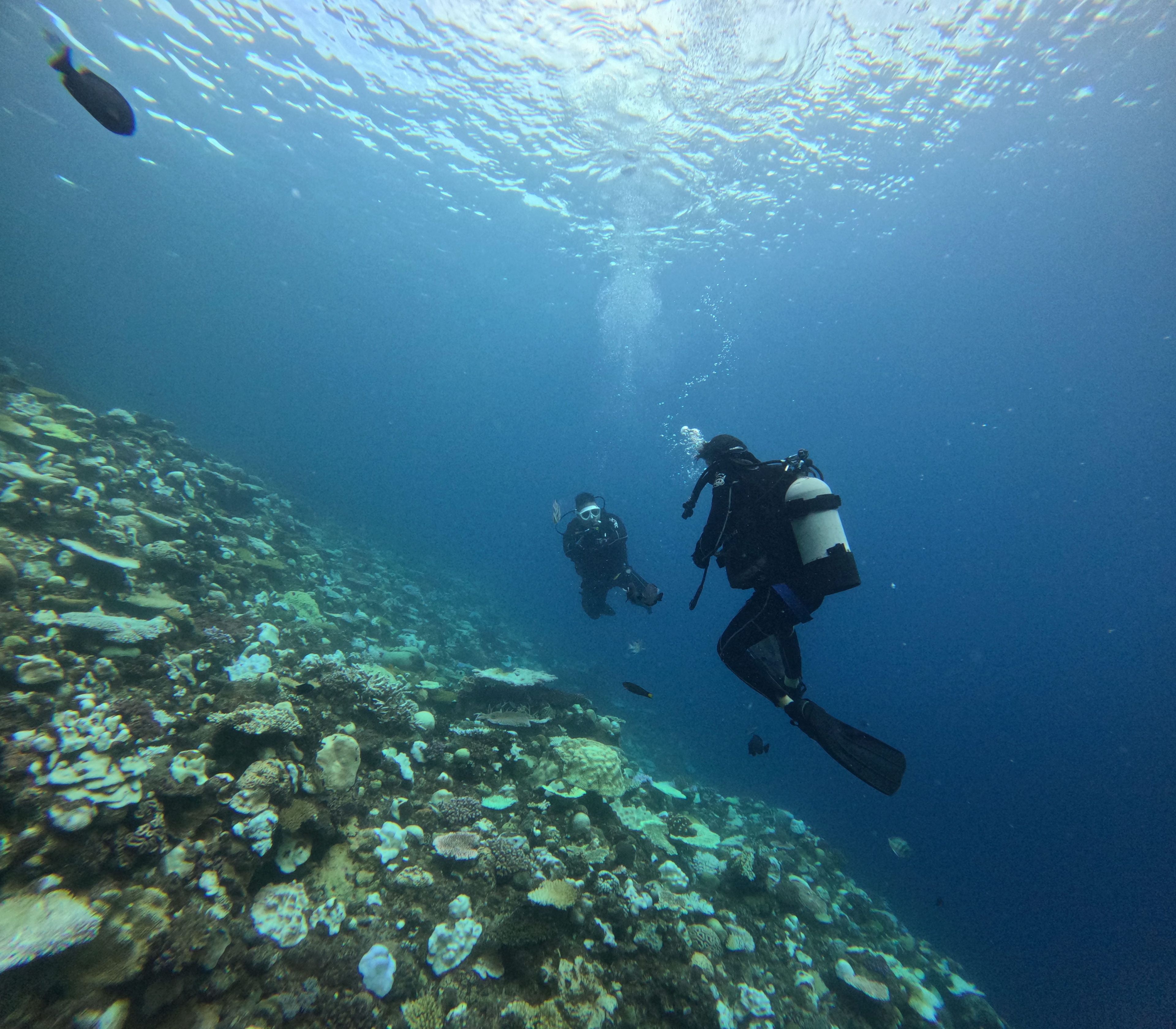 Scuba diving at 青洞