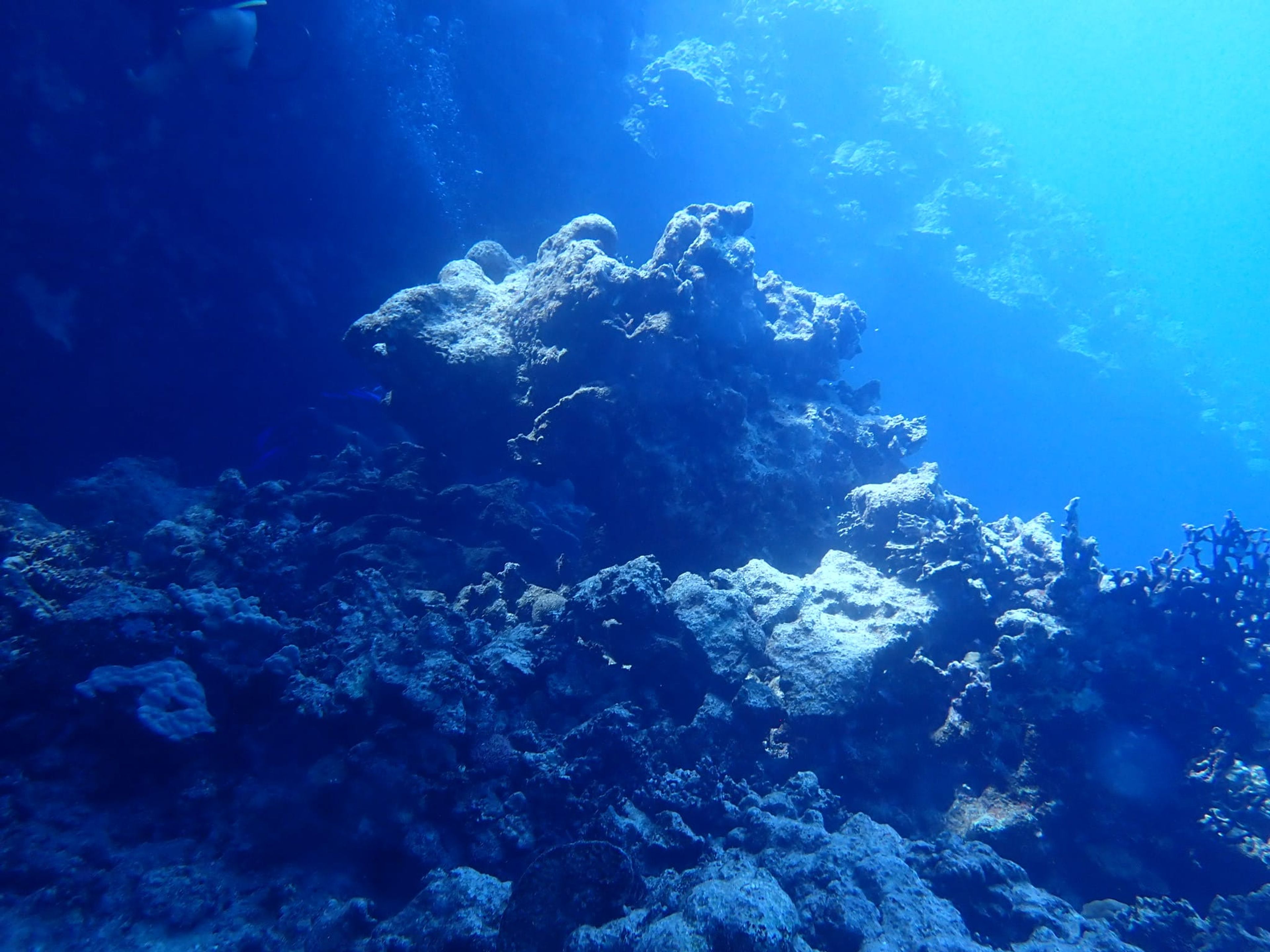 Oceanic+