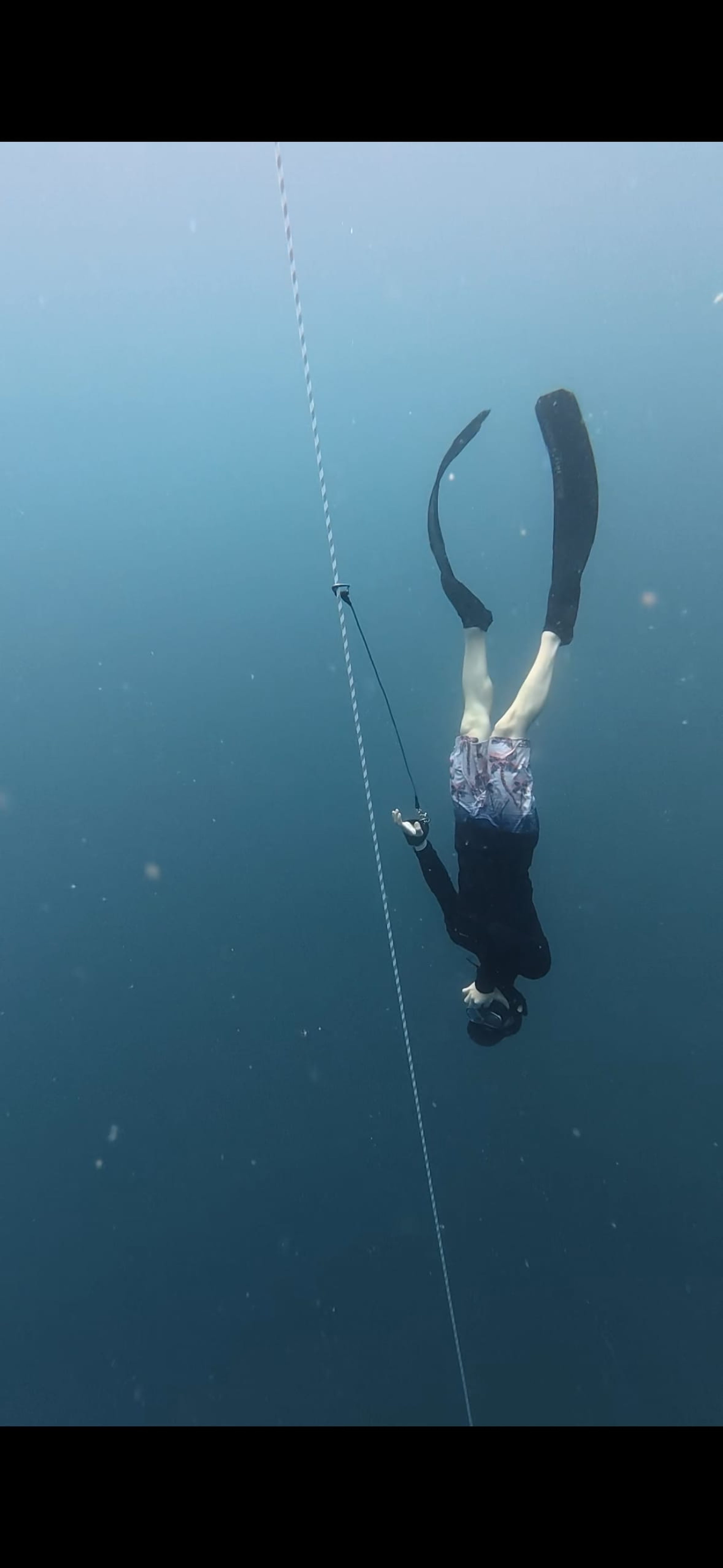 展嘉 張's dive log