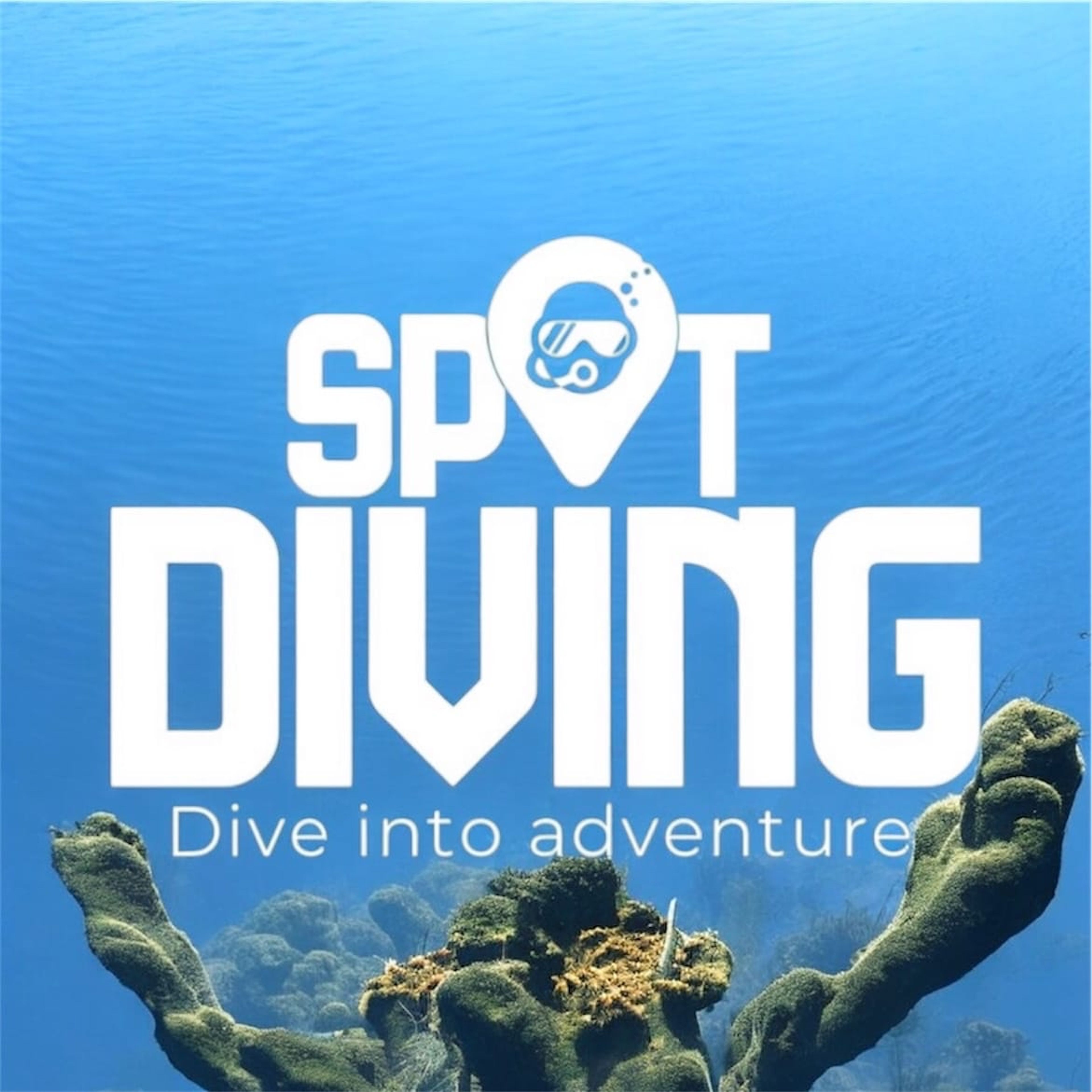 Spot Diving