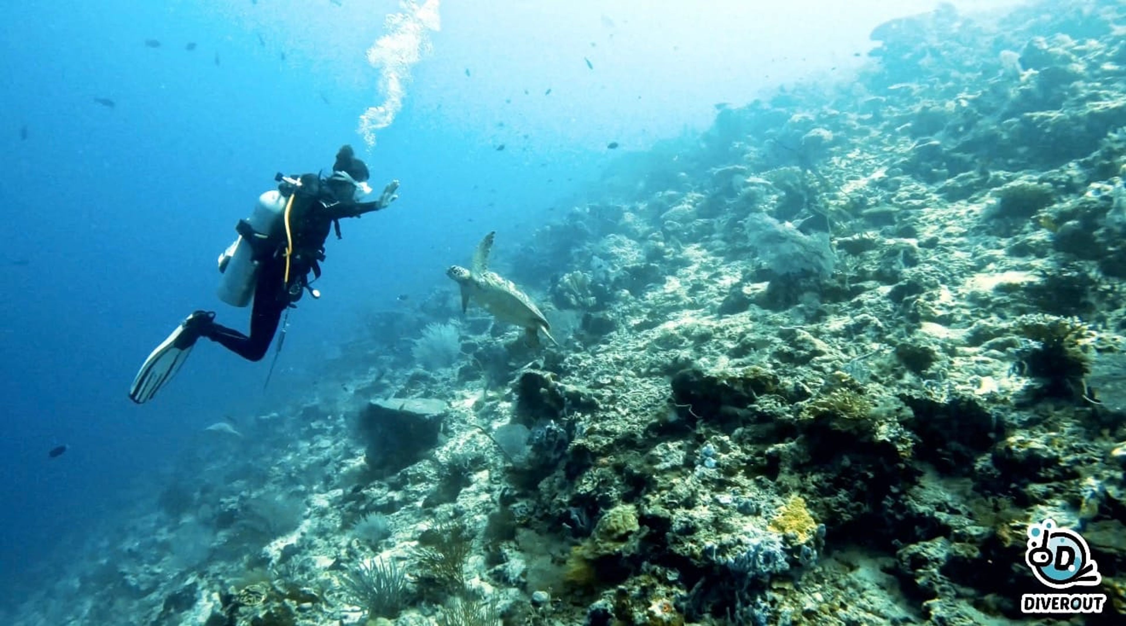 风中散发's dive log