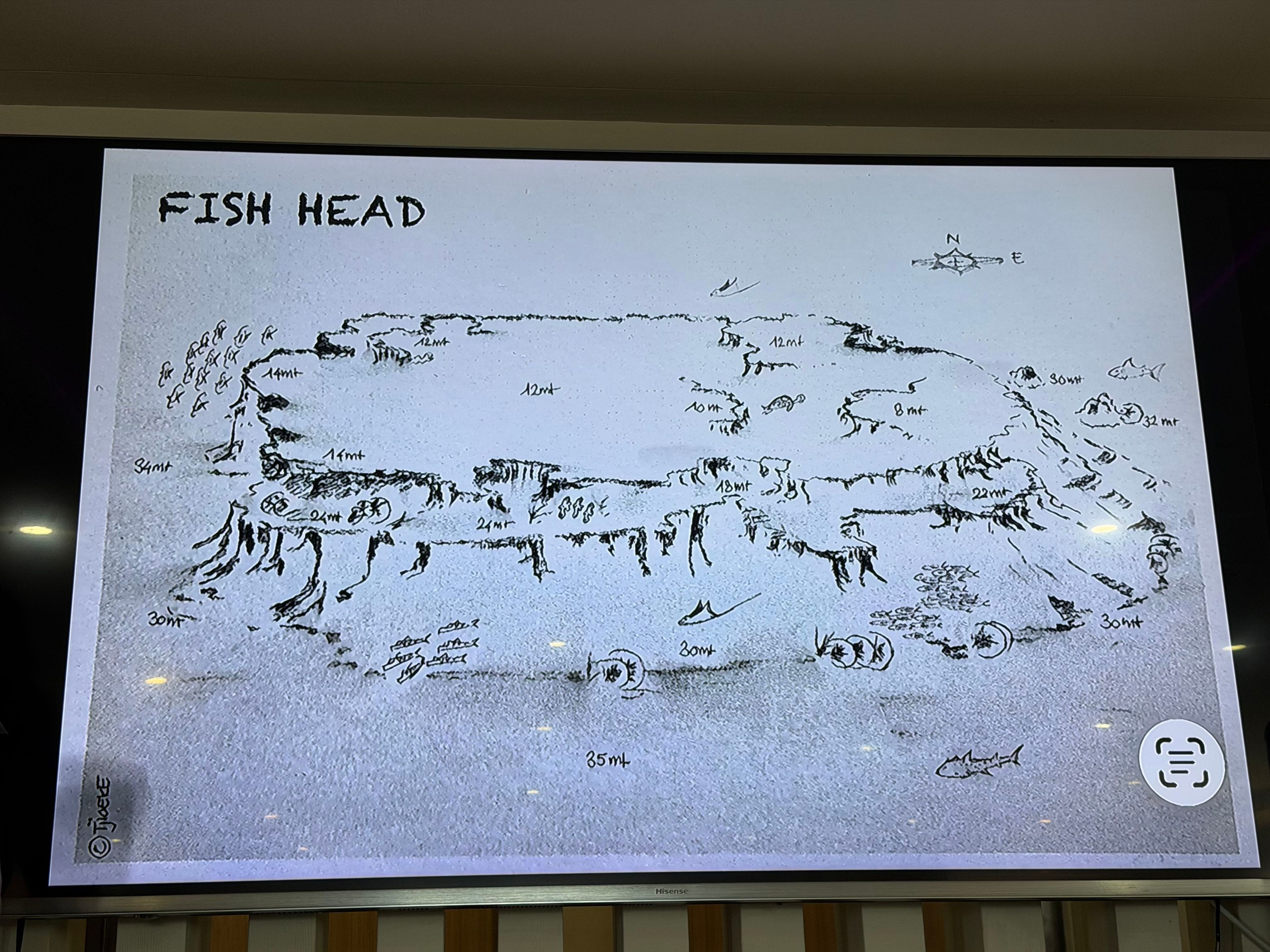 马尔代夫四方线Fish Head