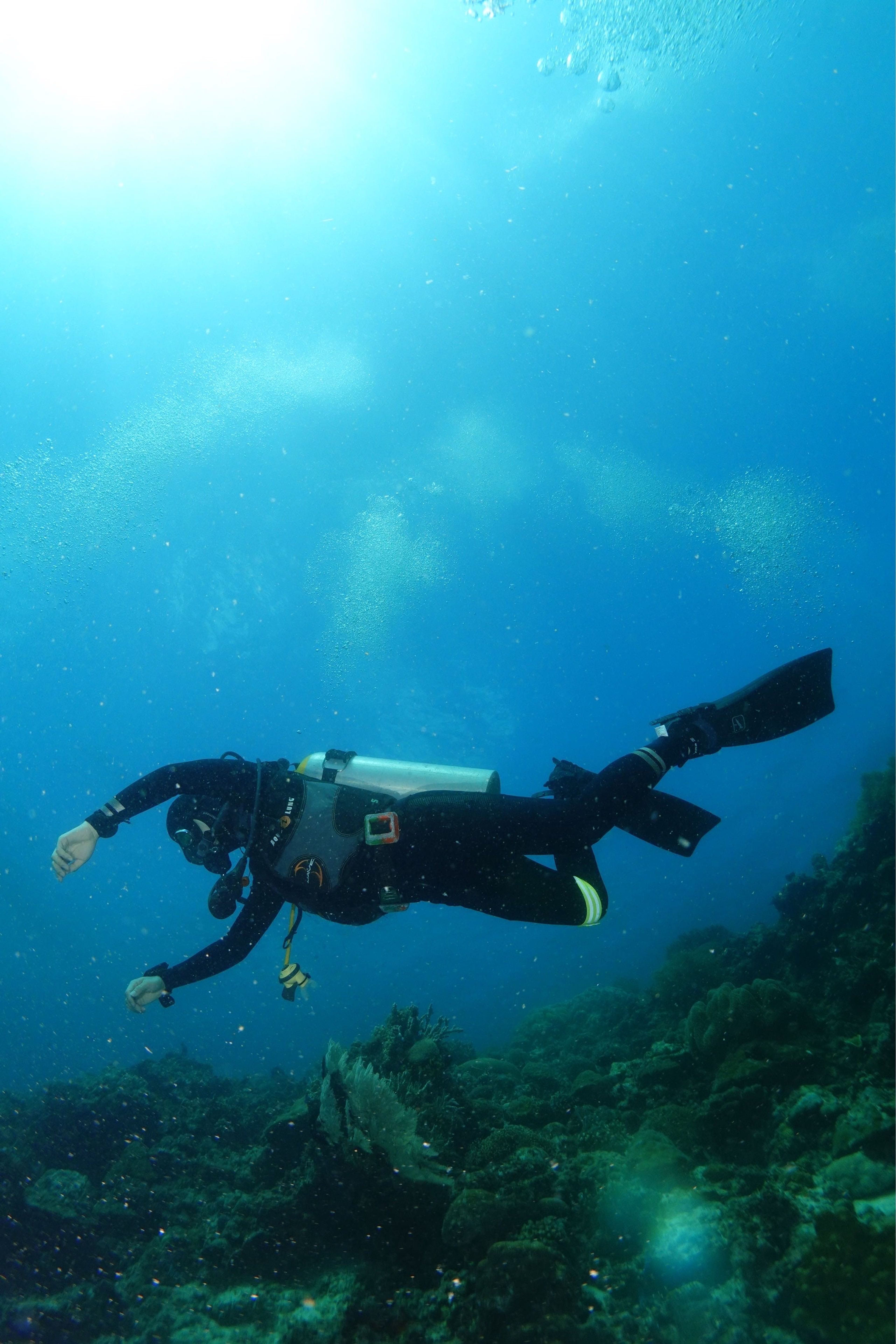 kyungdong kim's dive log