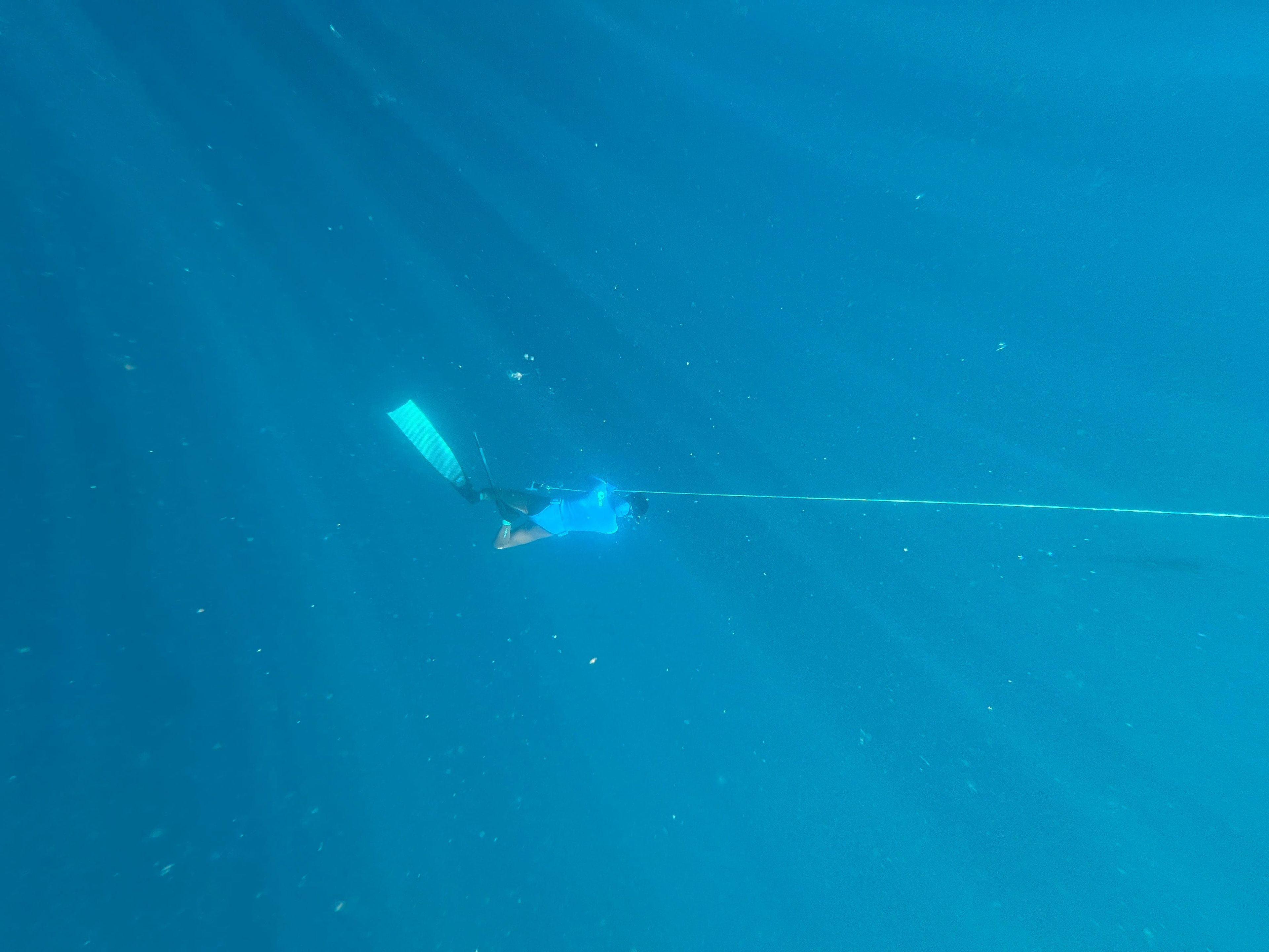 Freediving at 潮境公園