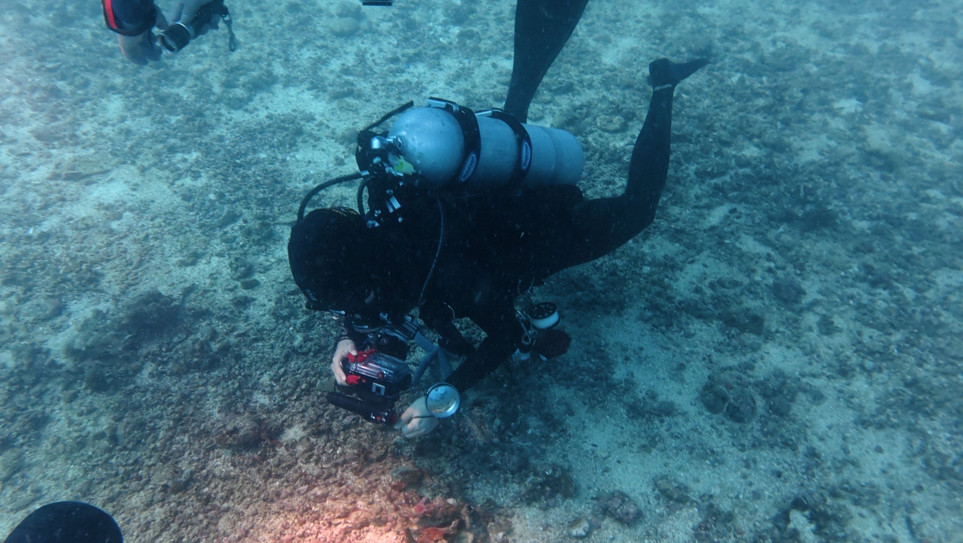 Scuba diving at Dakit Dakit
