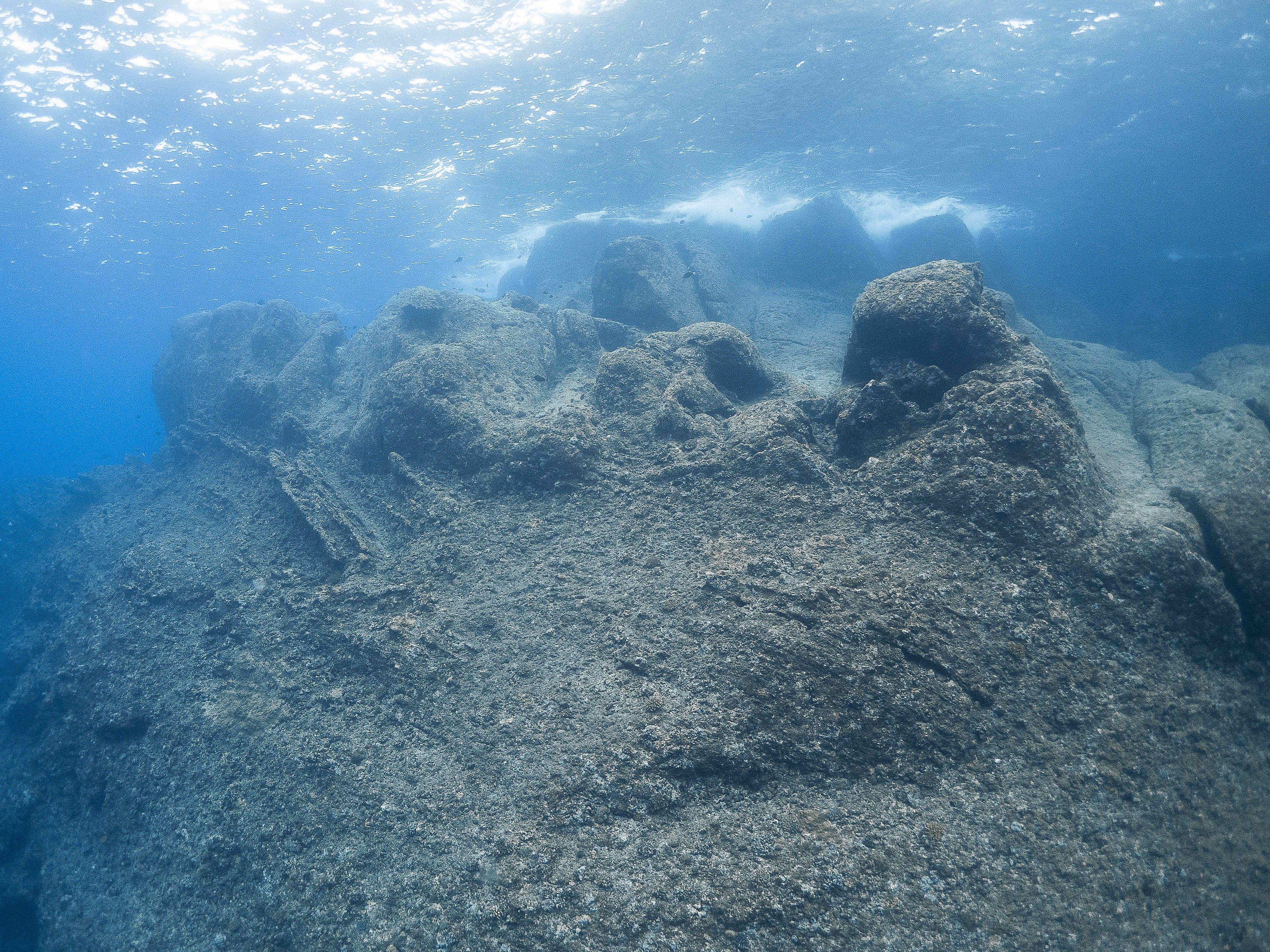 Oceanic+