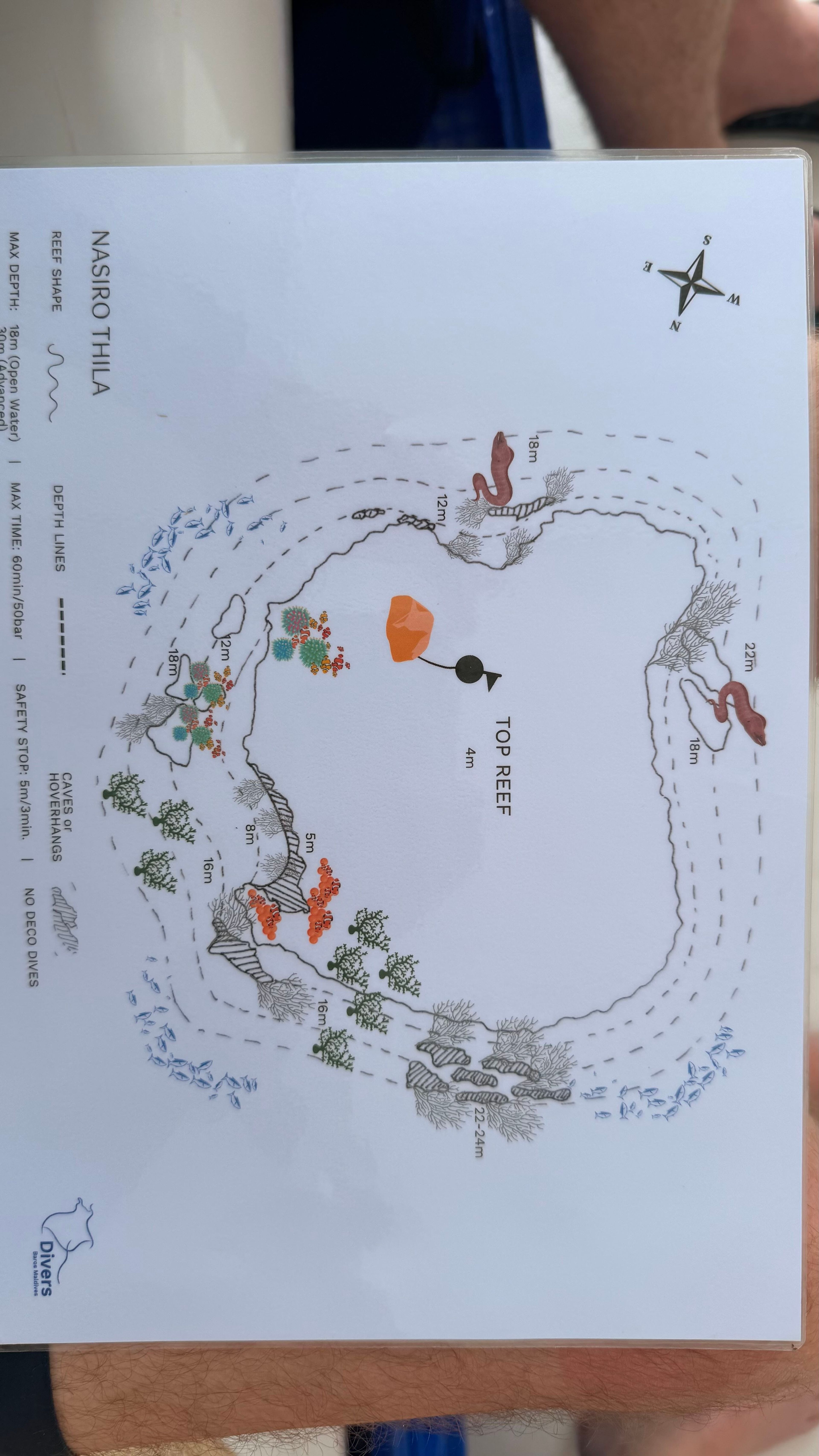 Arjan Kleinveld's dive log