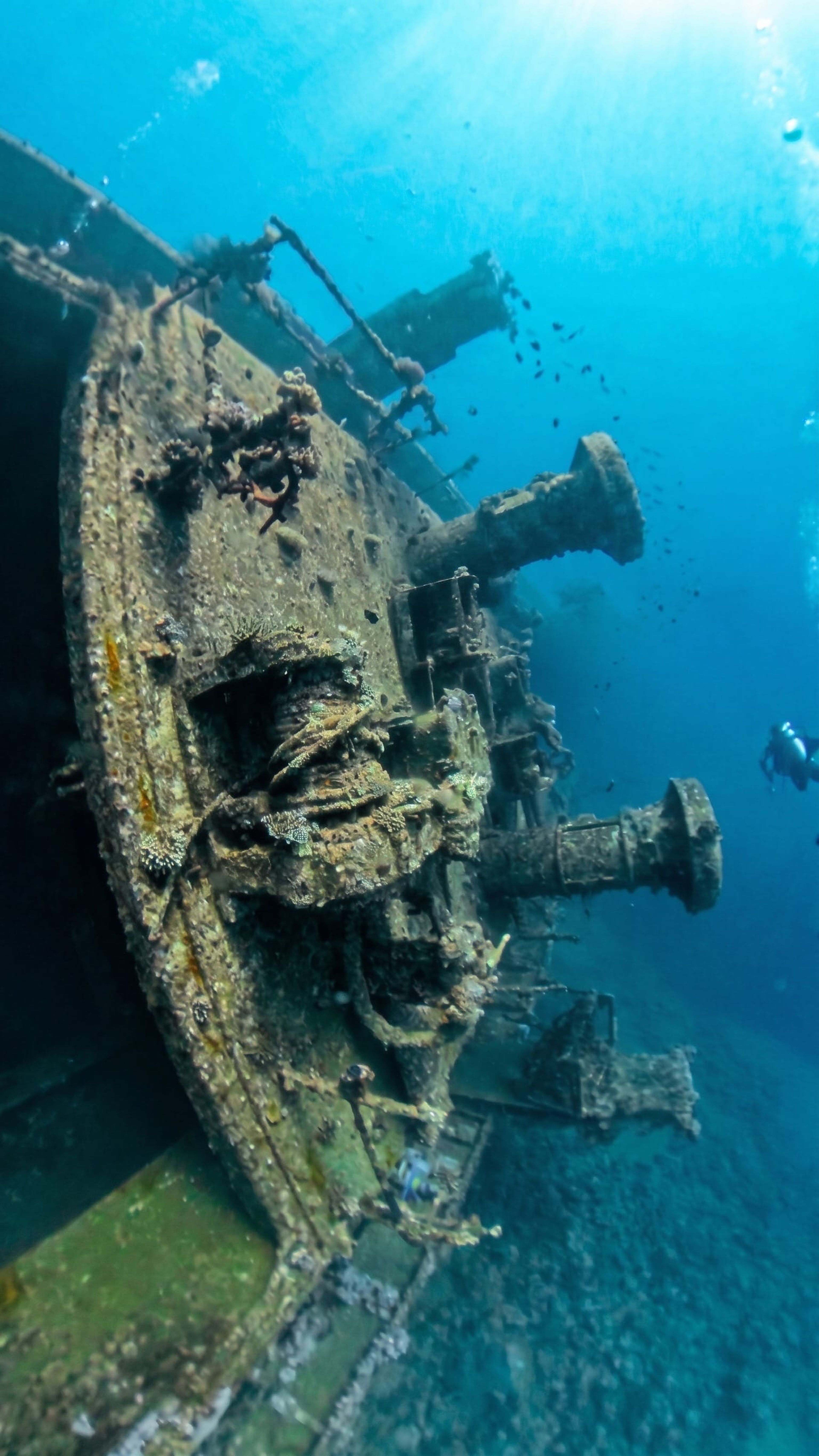 Ammar Saleh's dive log