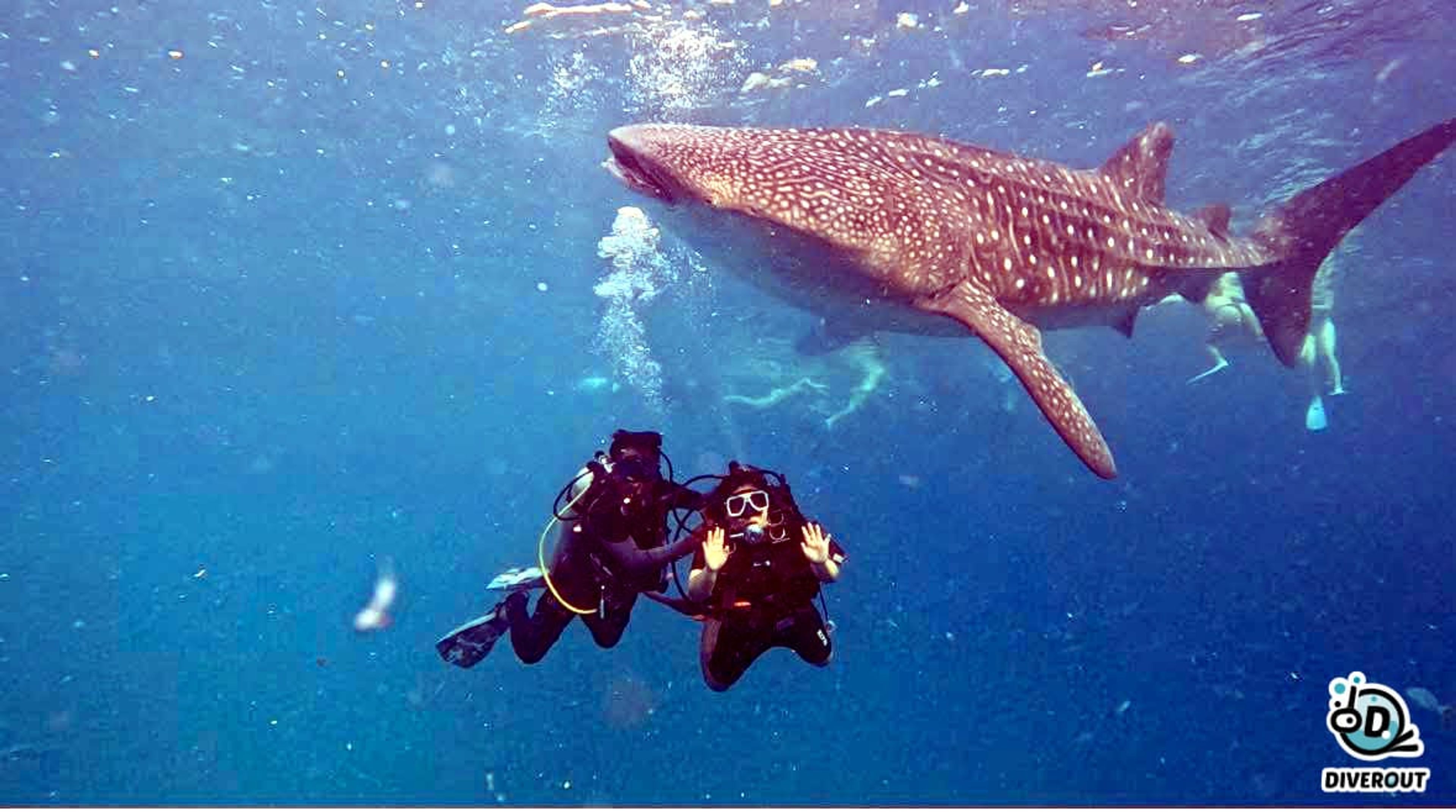 Angel Restauro's dive log
