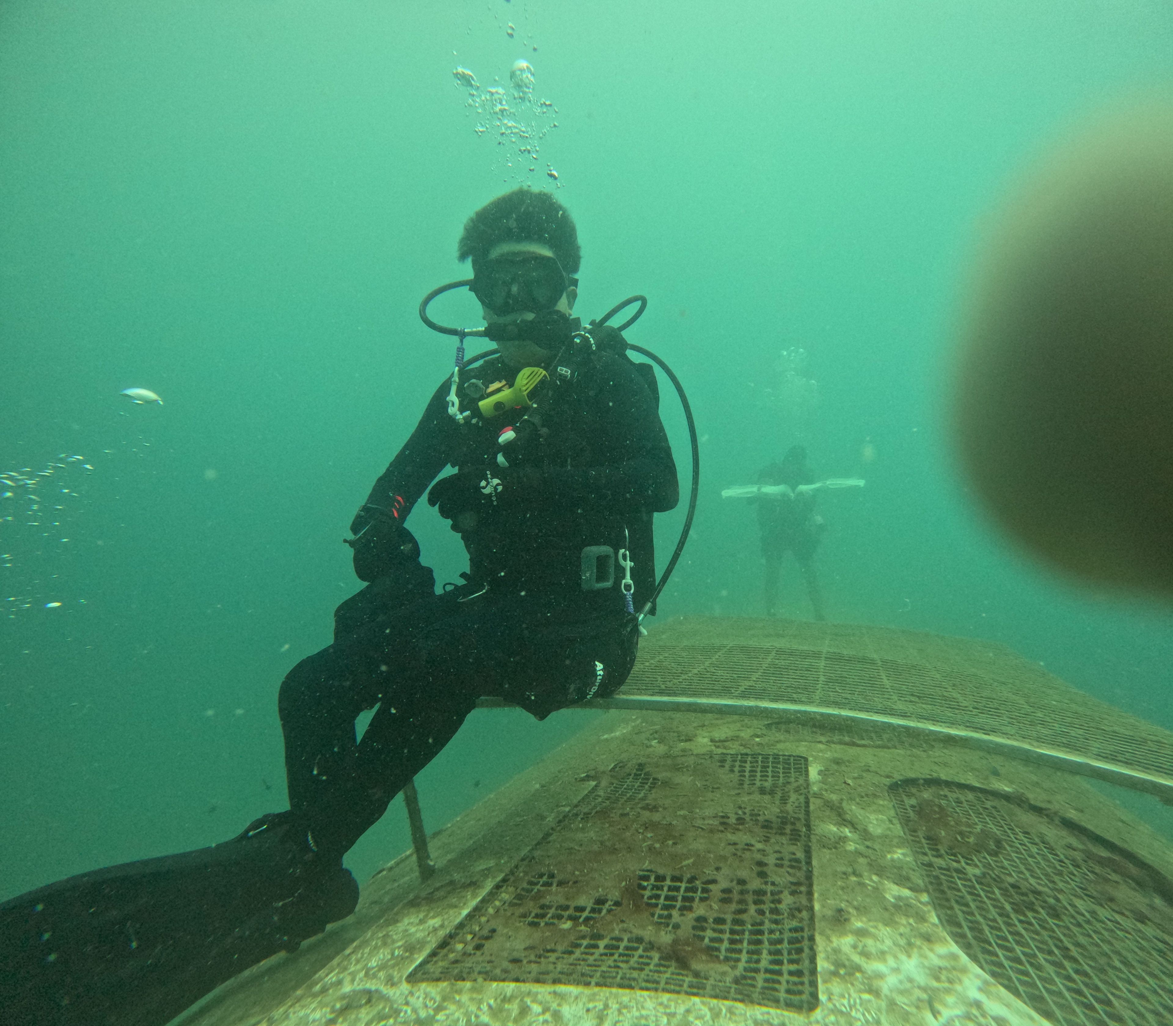 Single-Gas Dive