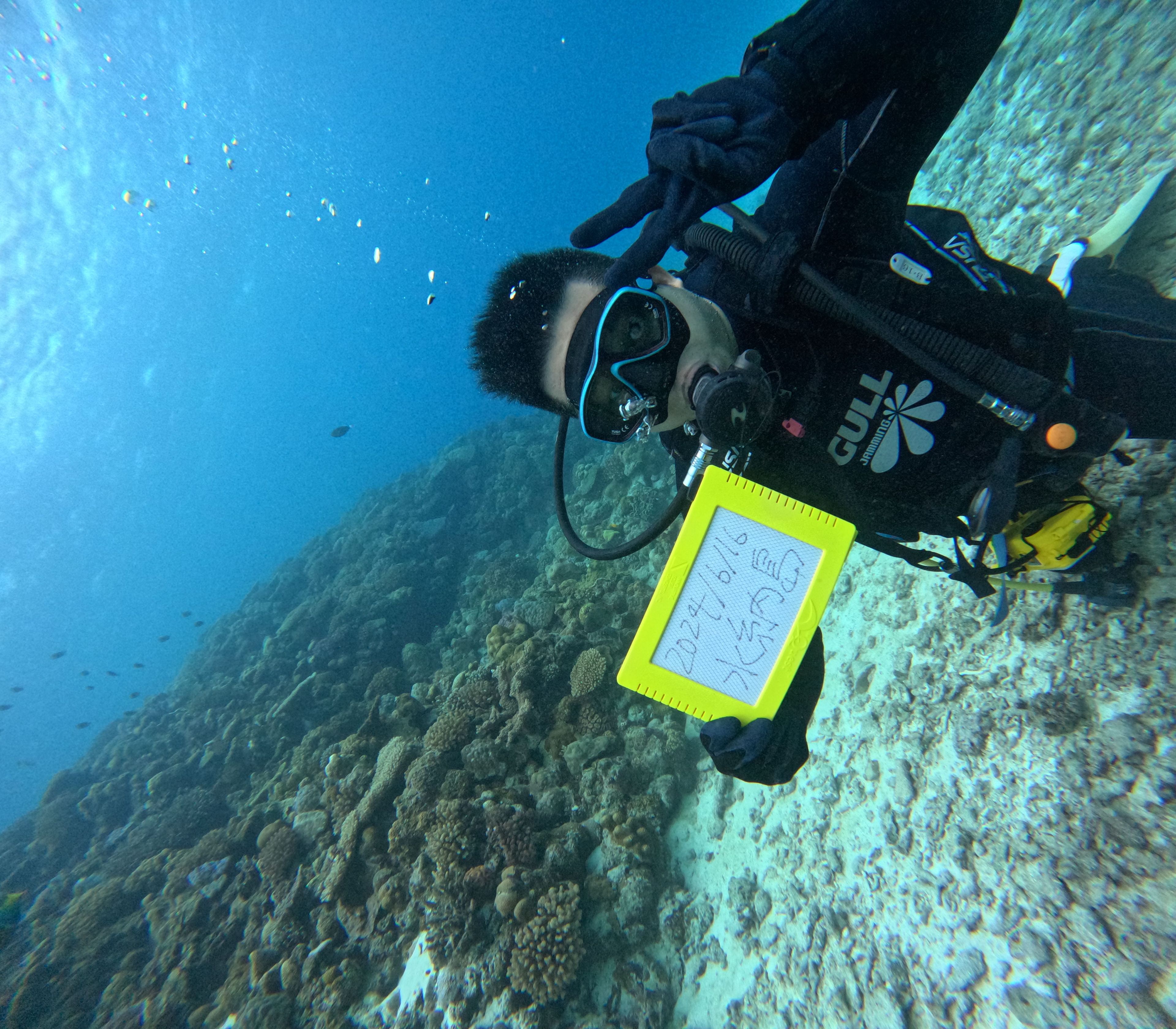 20240616 Okinawa - Dive 1