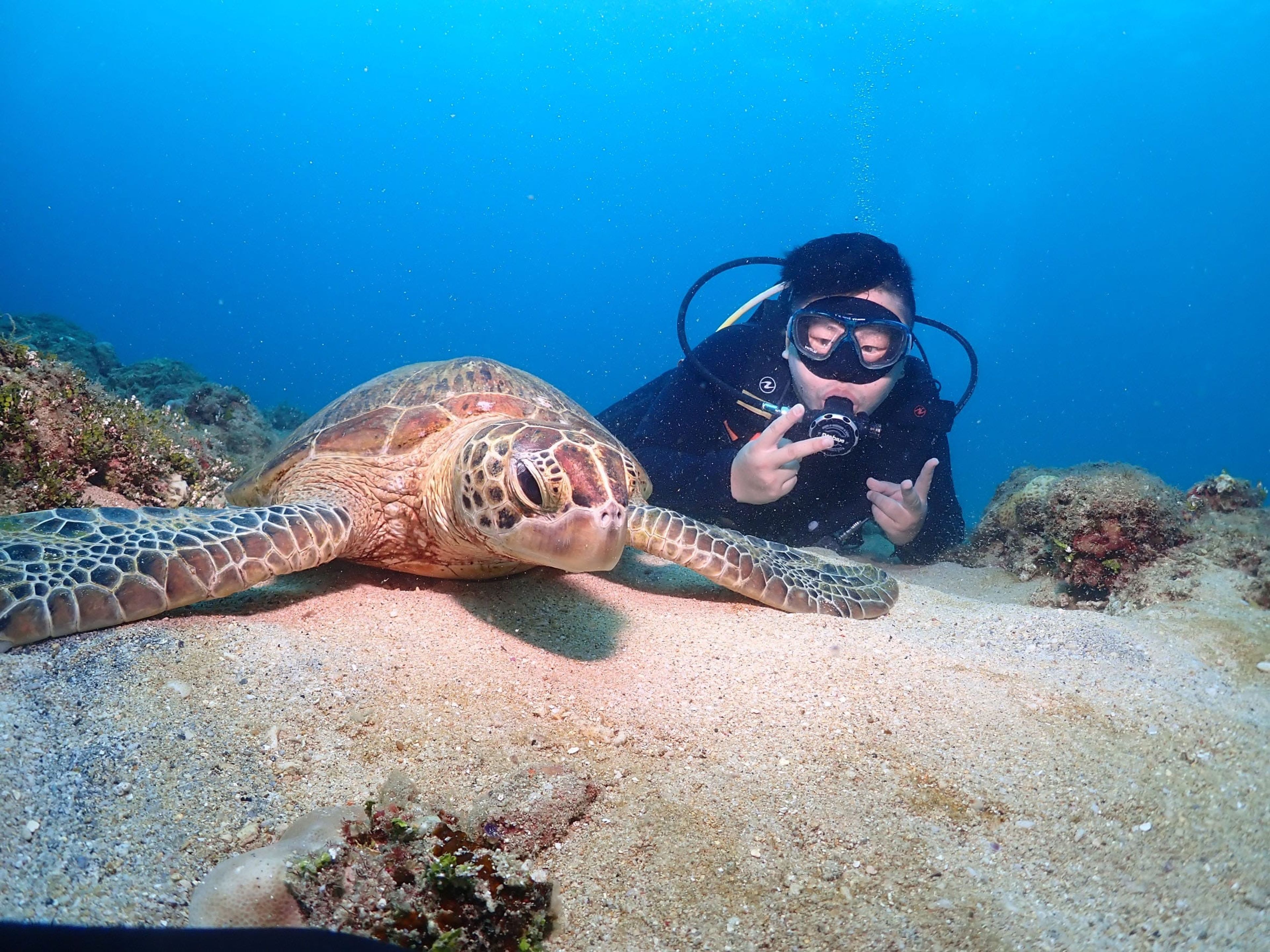Scuba diving at 杉福