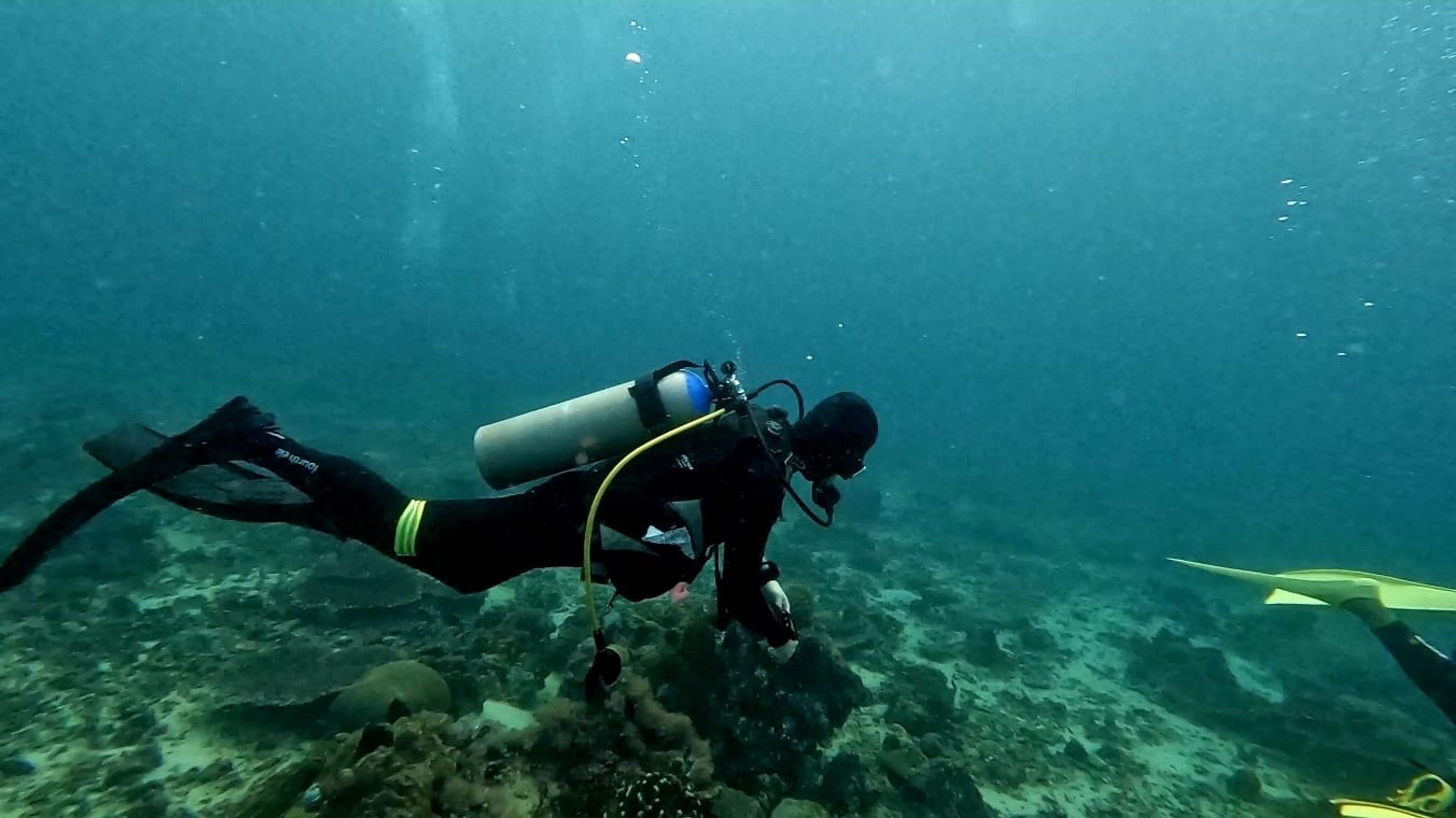 kyungdong kim's dive log