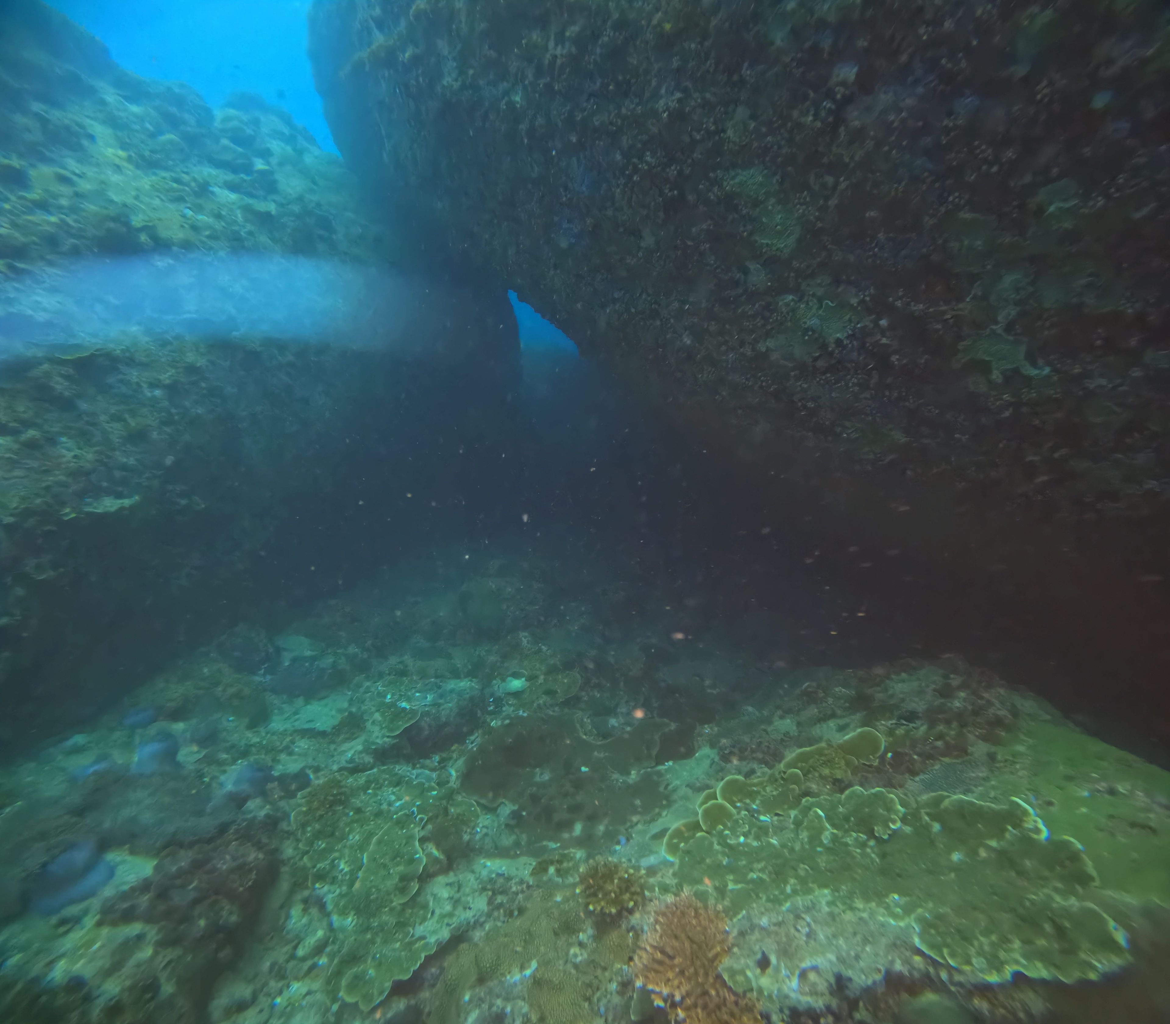 Oceanic+