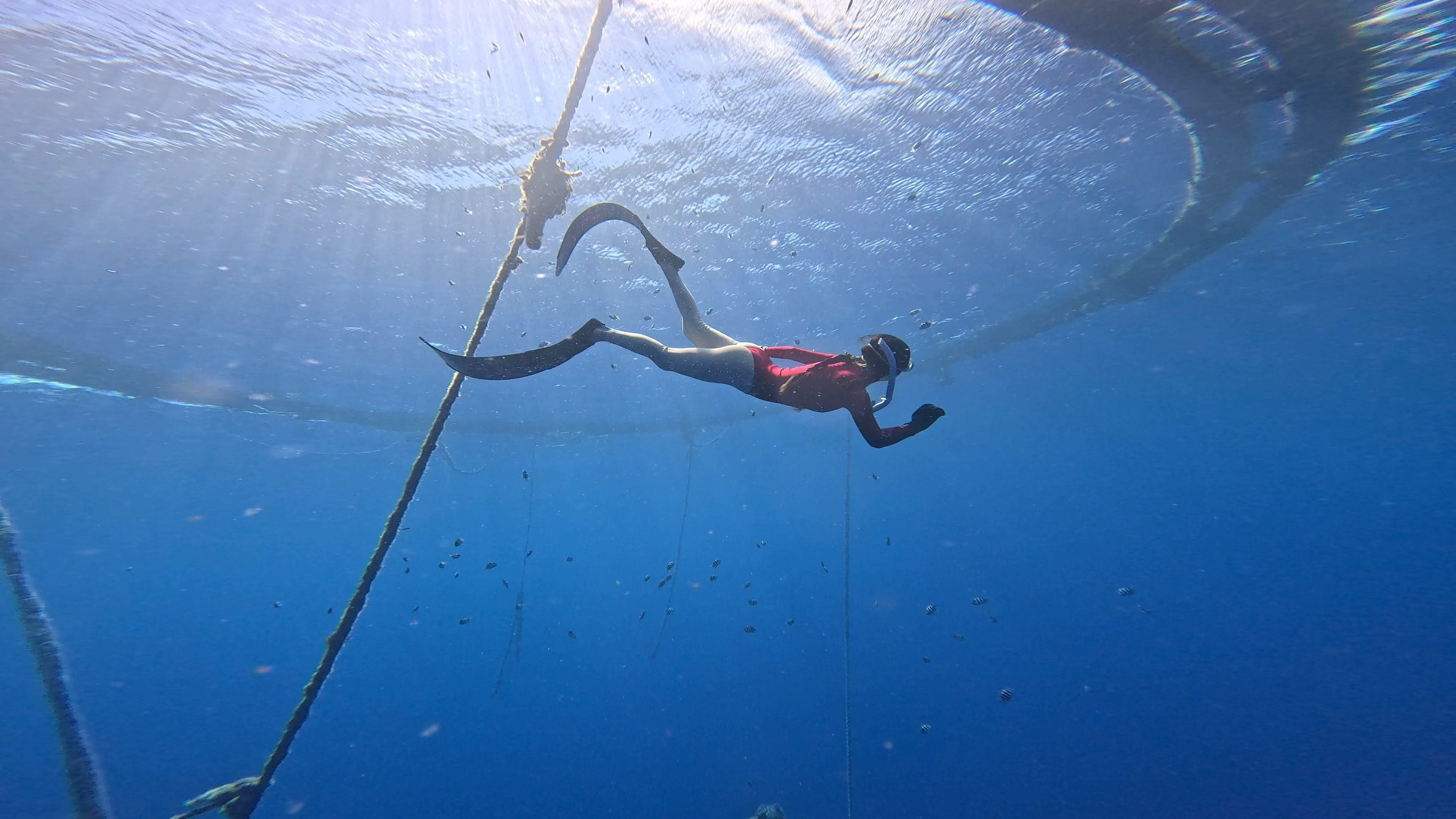 Freediving at 美人洞