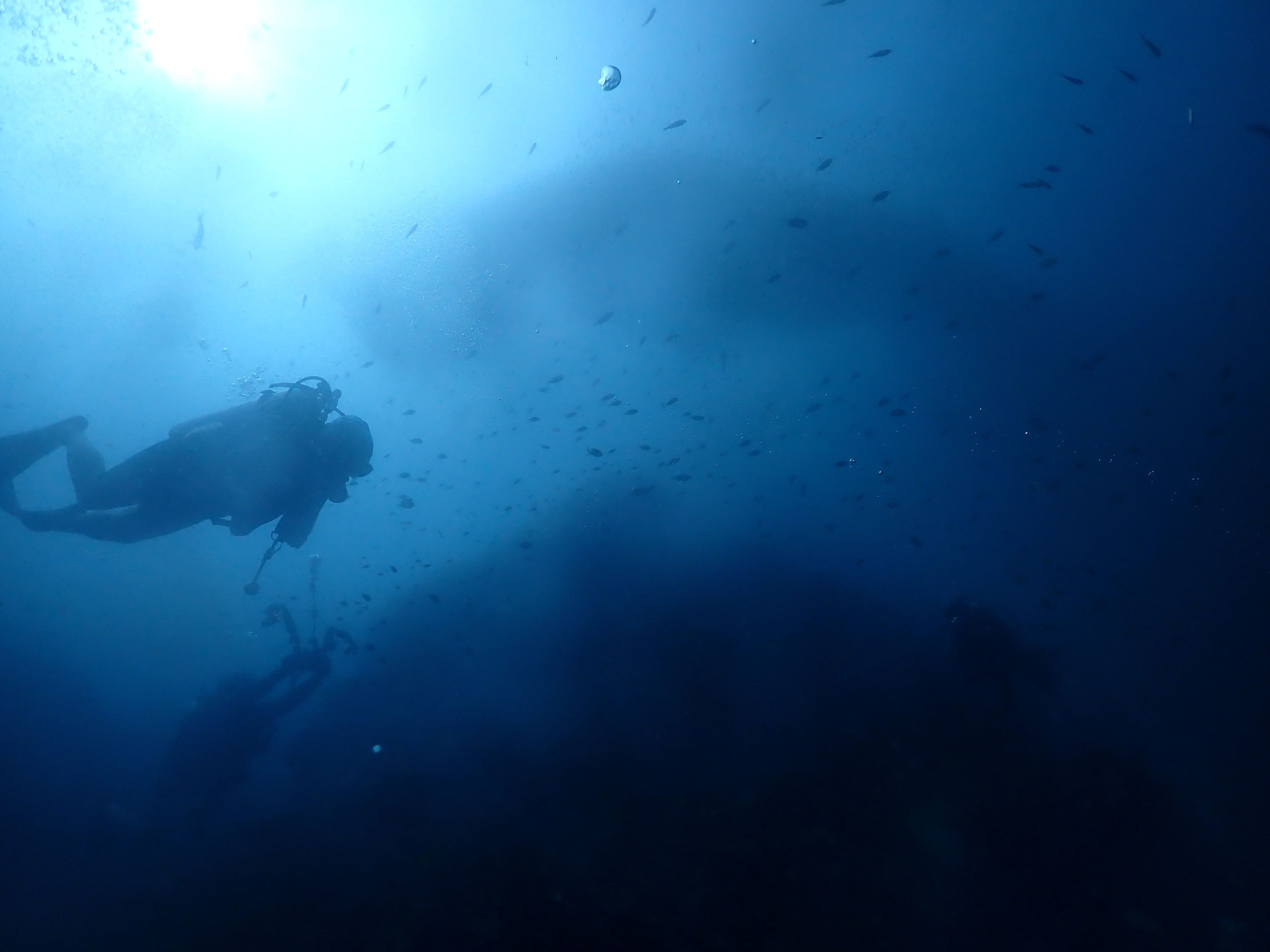 The Phinisi Day 3: Dive 2