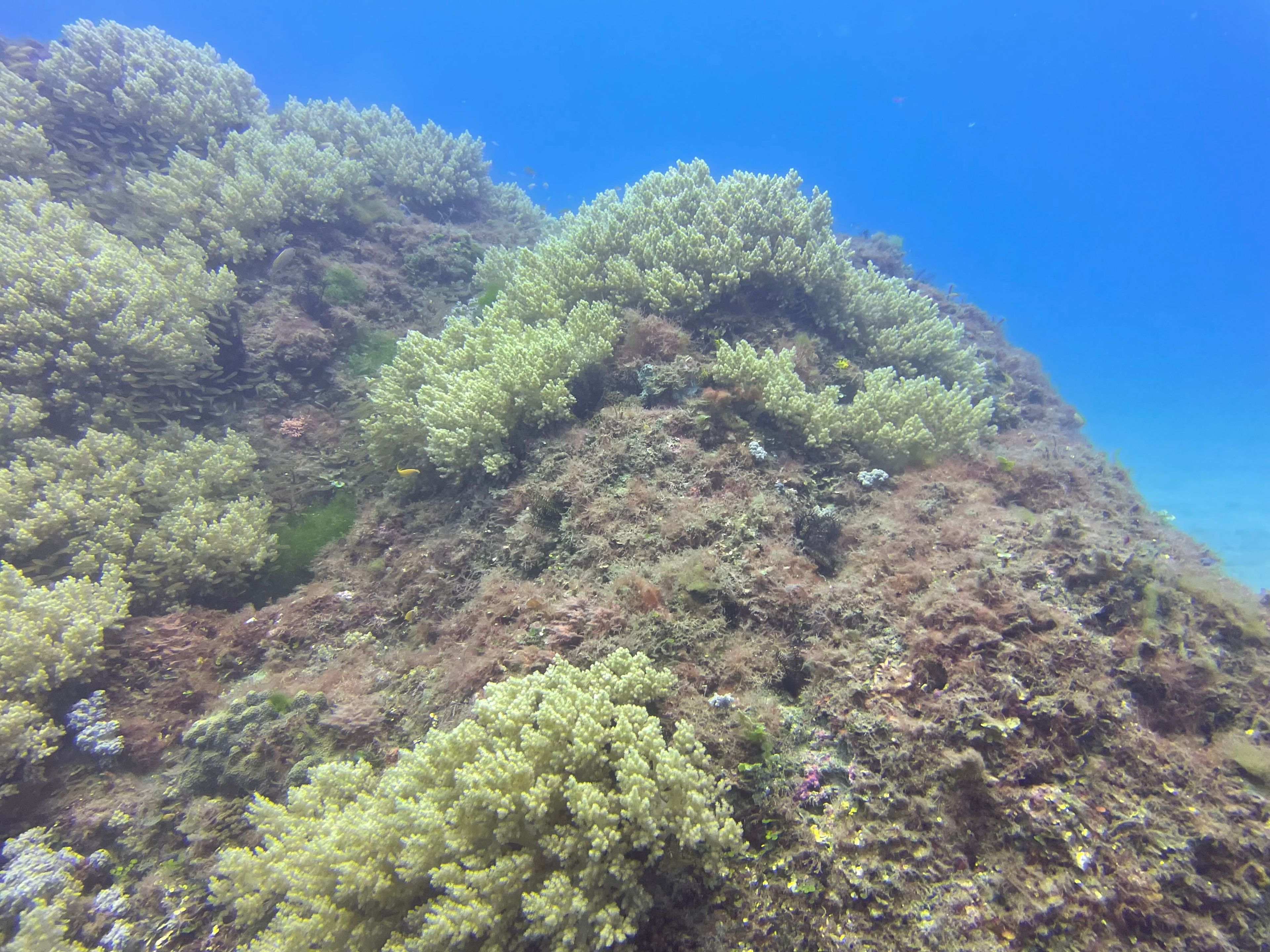 山海潛點