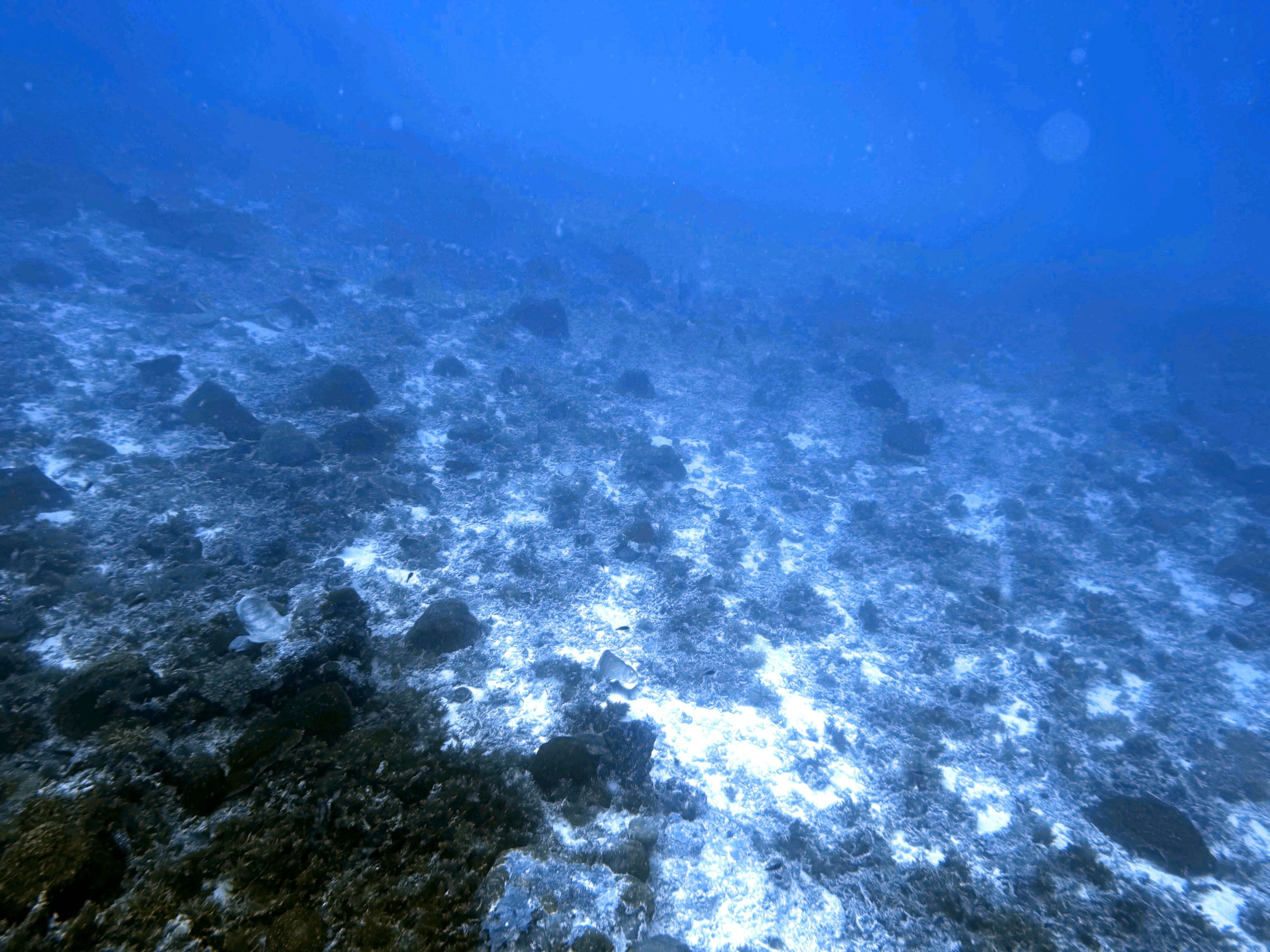 Scuba diving at German channel