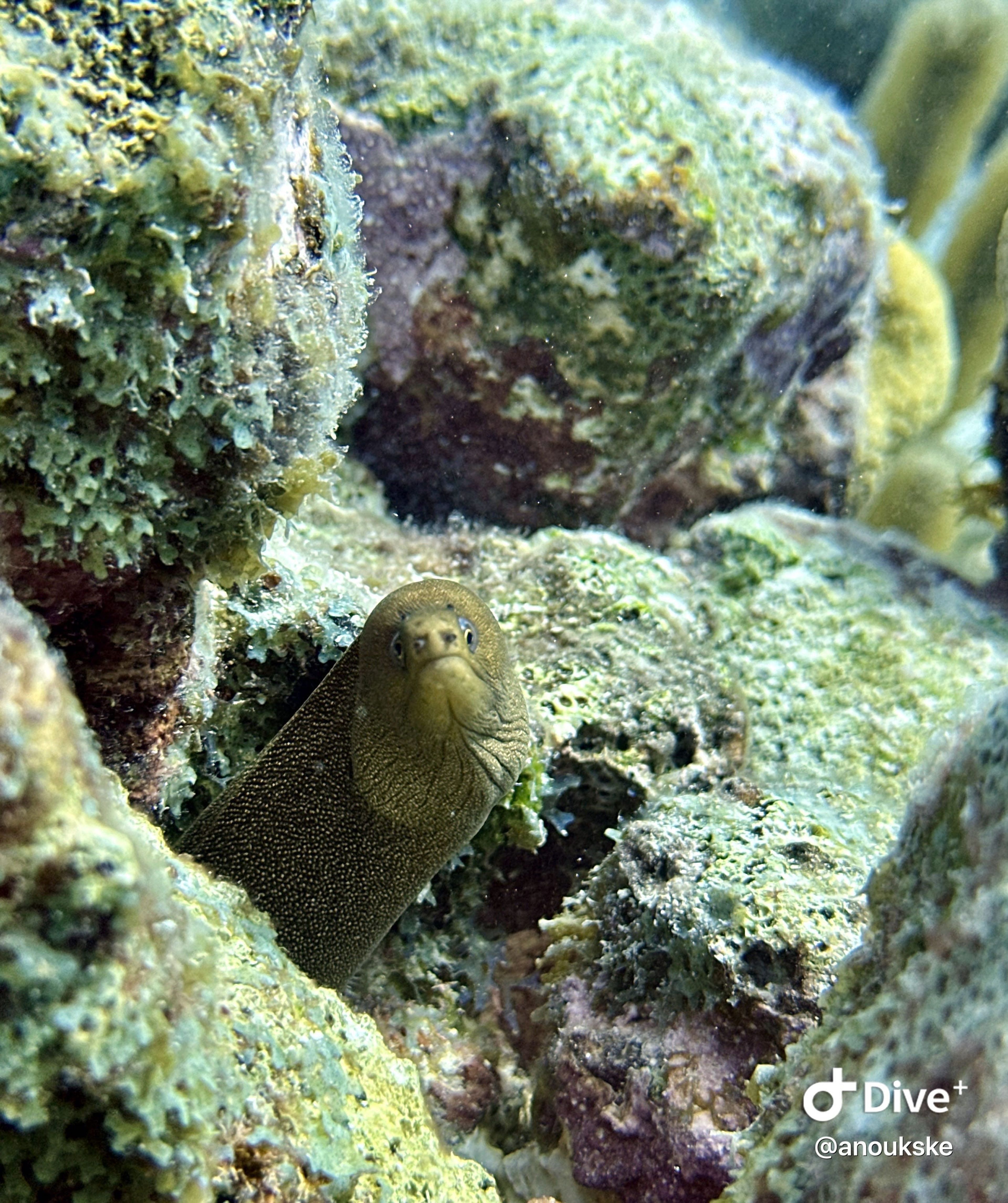 Salt Pier