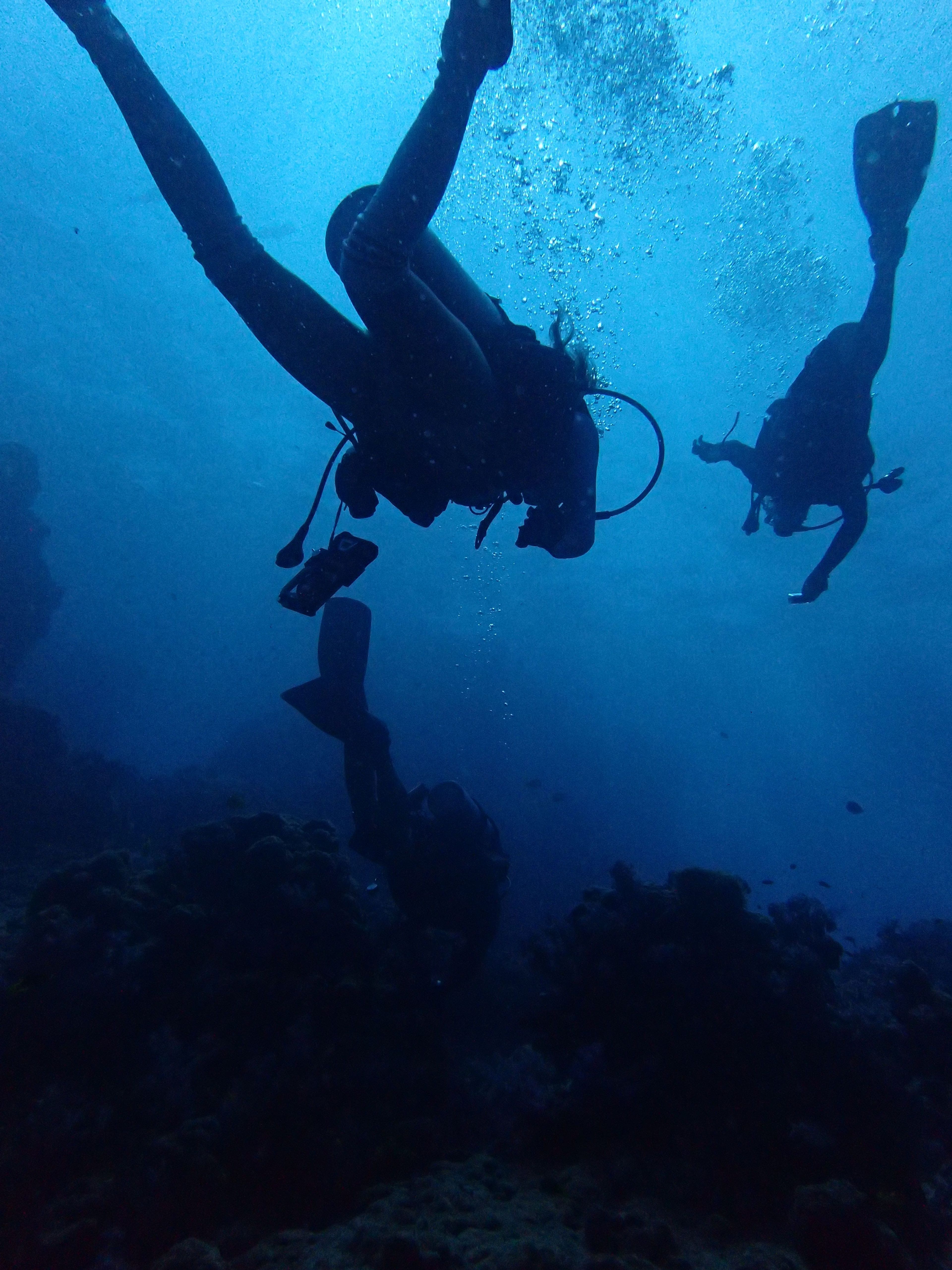 Scuba diving at Richelieu Rock