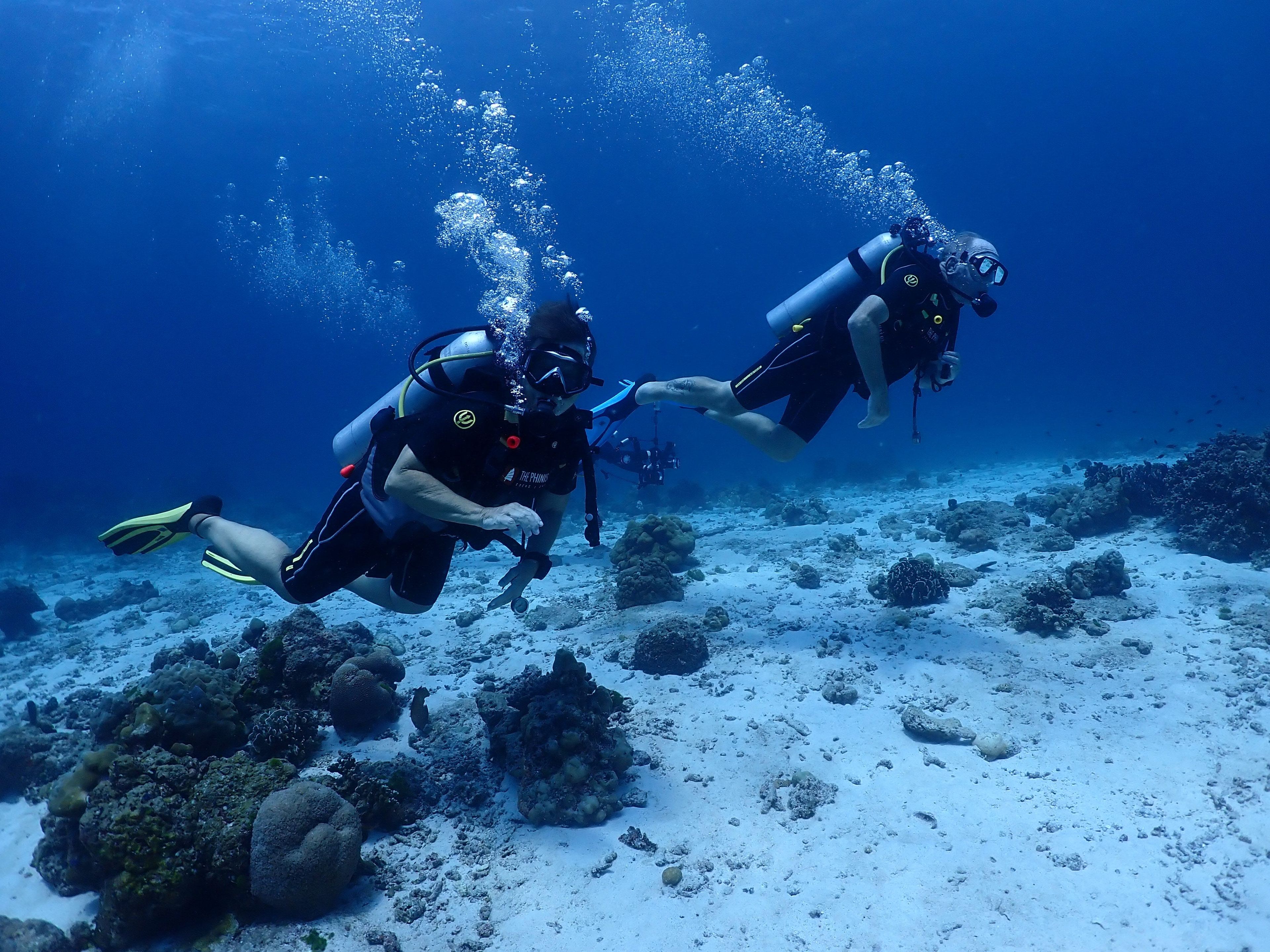 The Phinisi Day 1: Dive 2