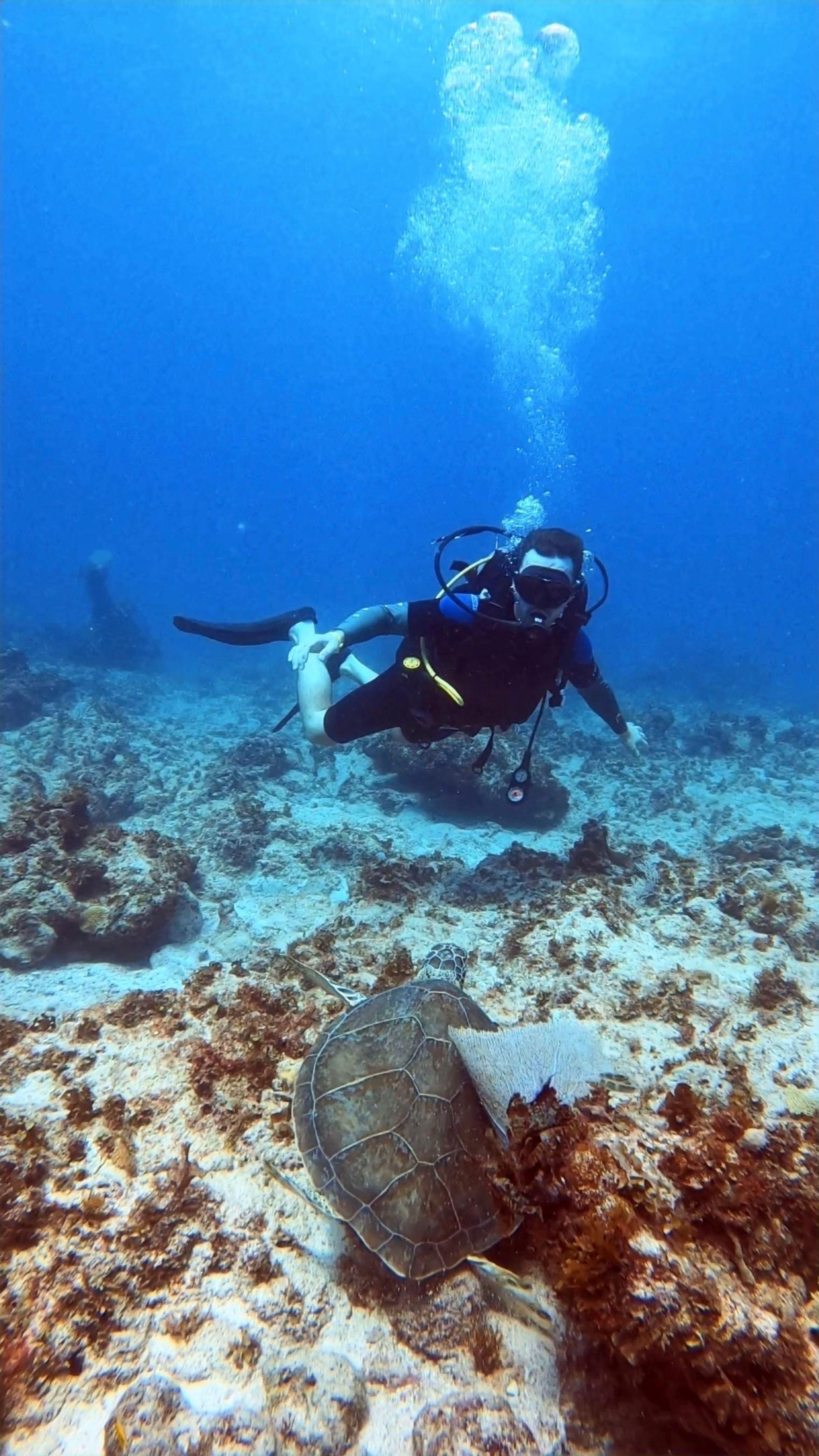 Jose enrique Amador mejia's dive log