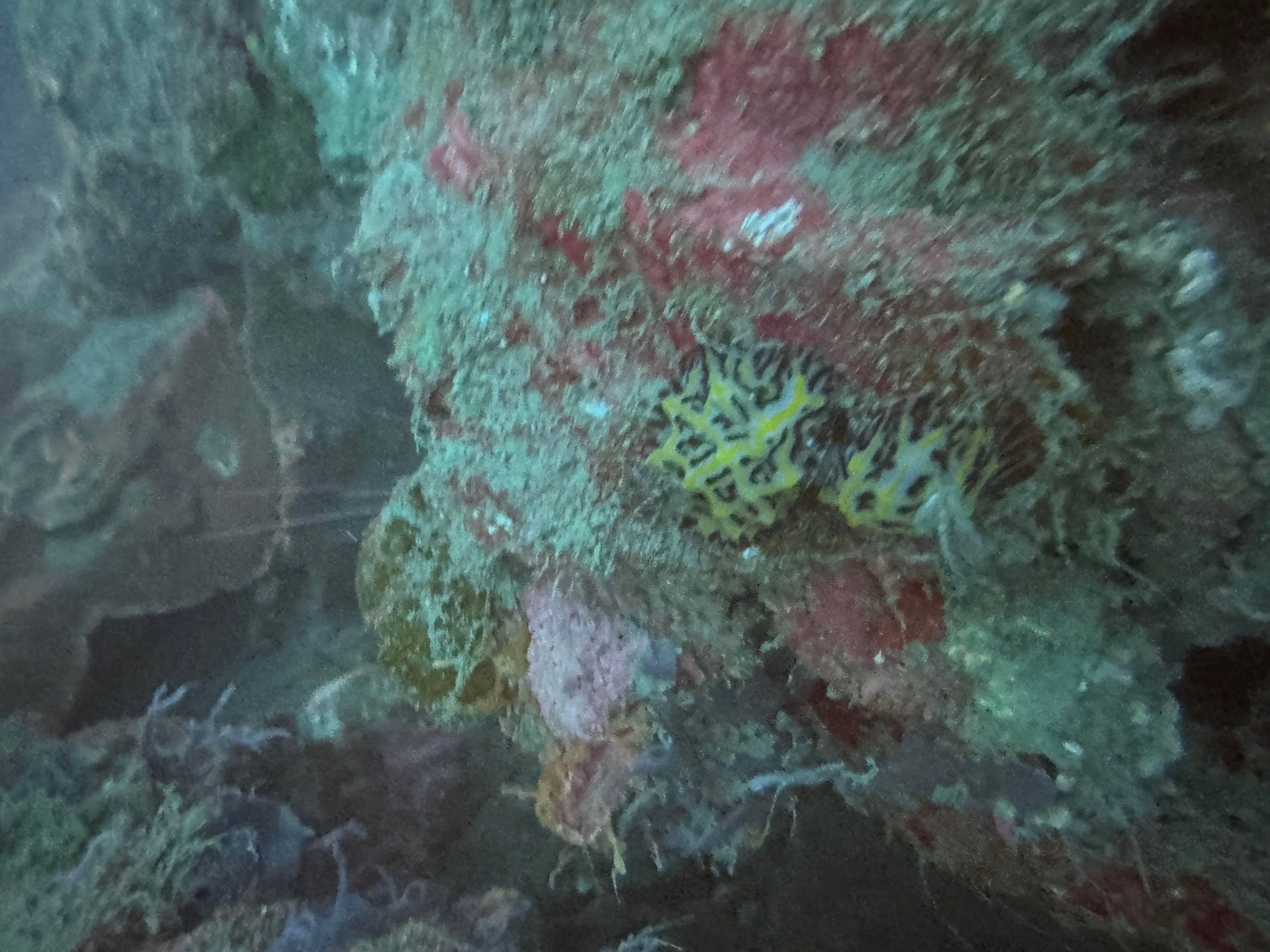 Suunto Ocean