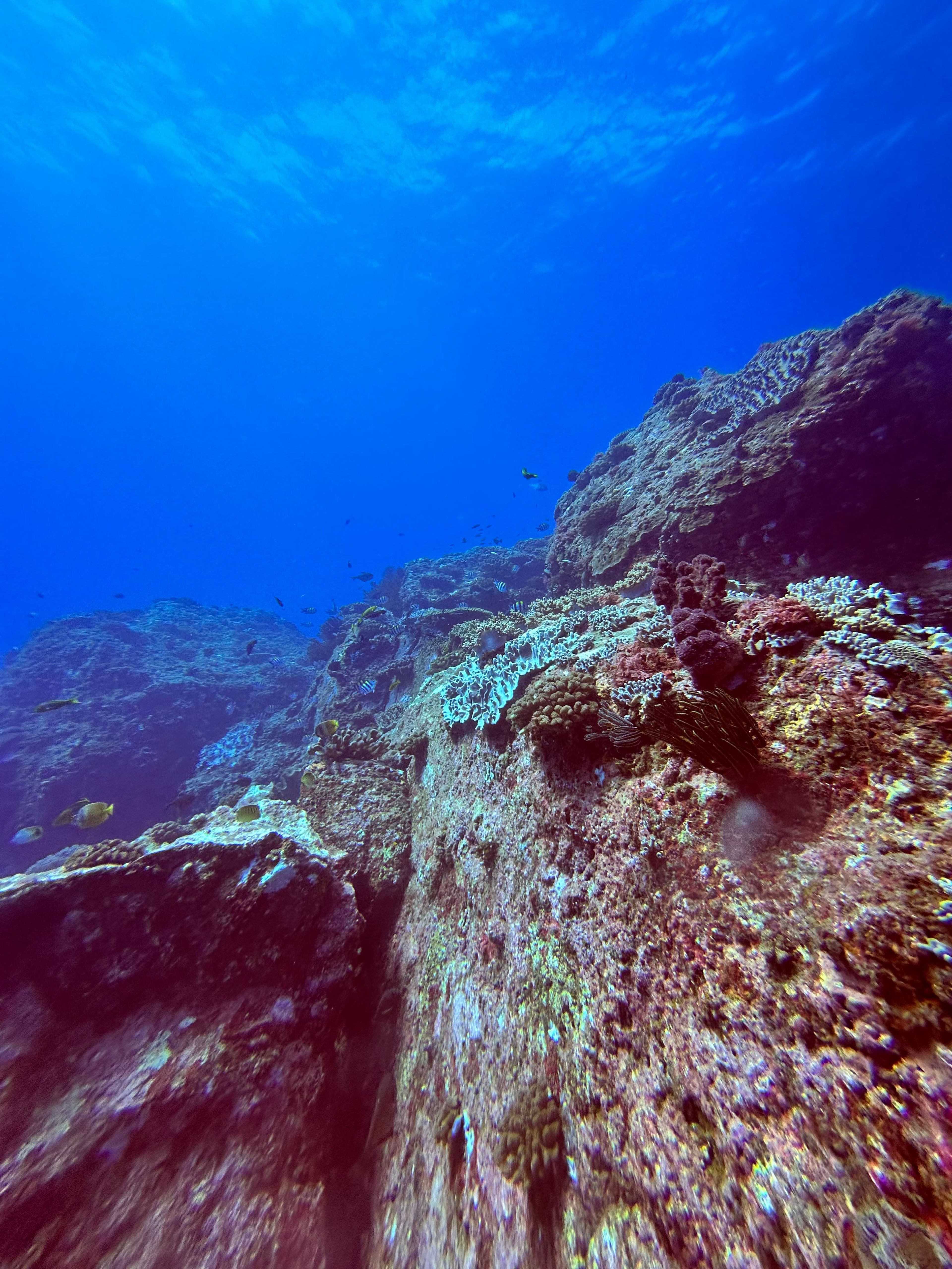 雙峰藍洞