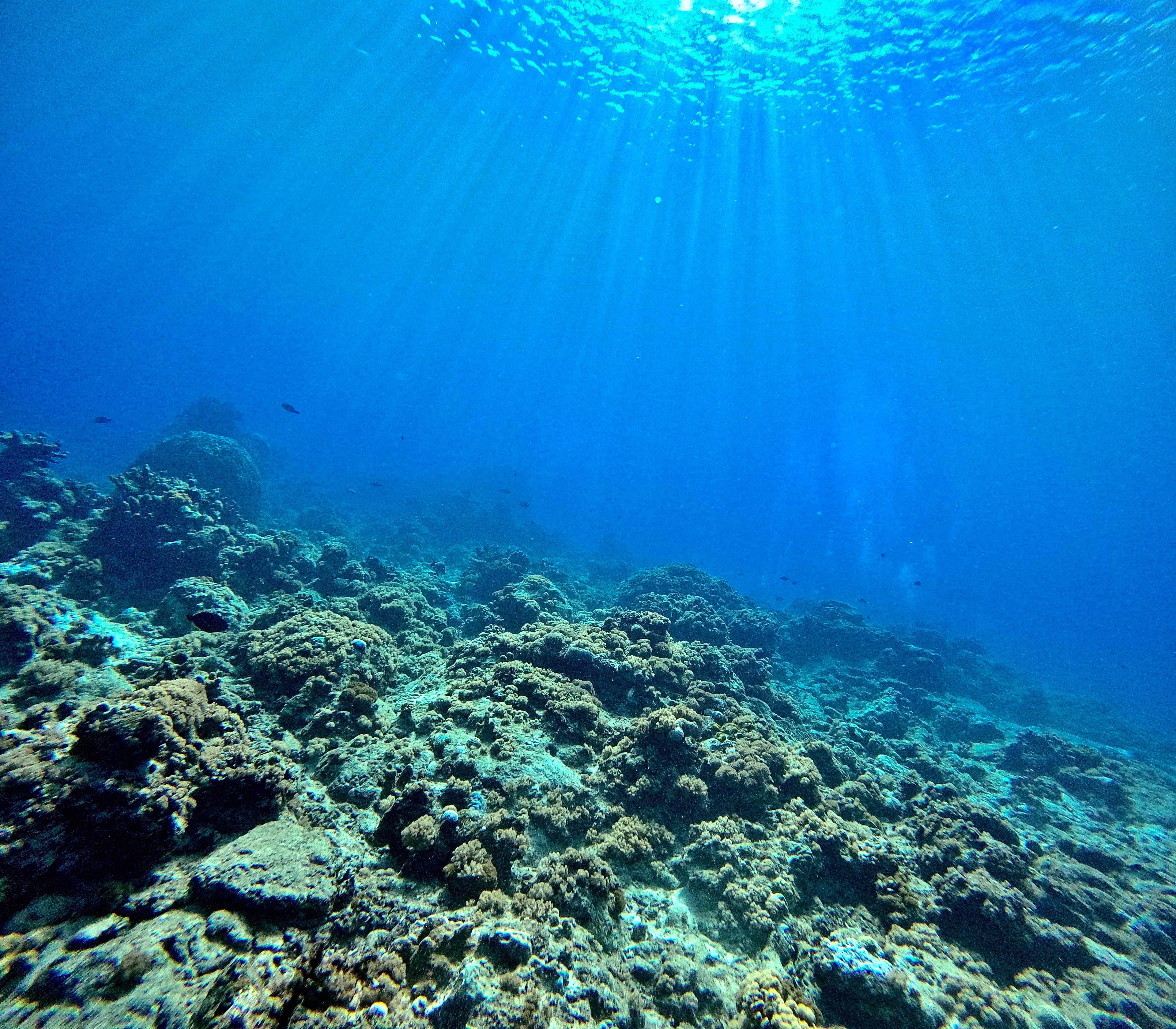 Scuba diving at 石朗