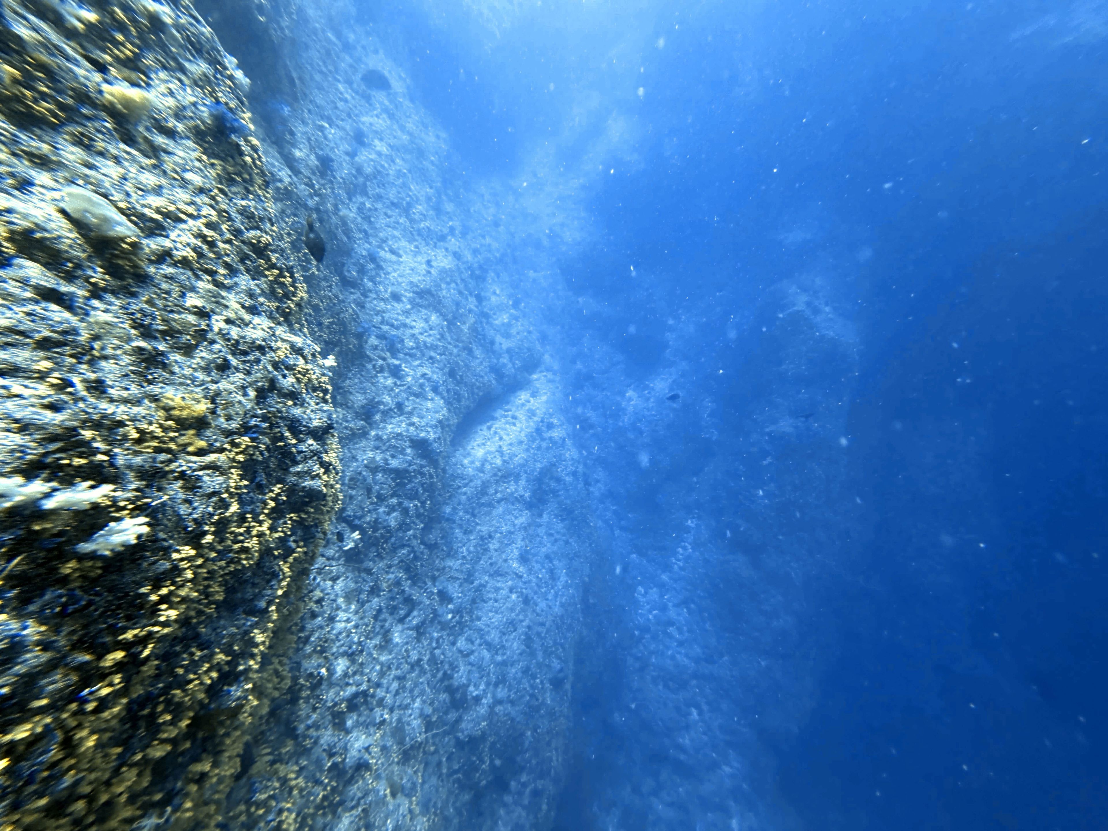 西瓜's dive log
