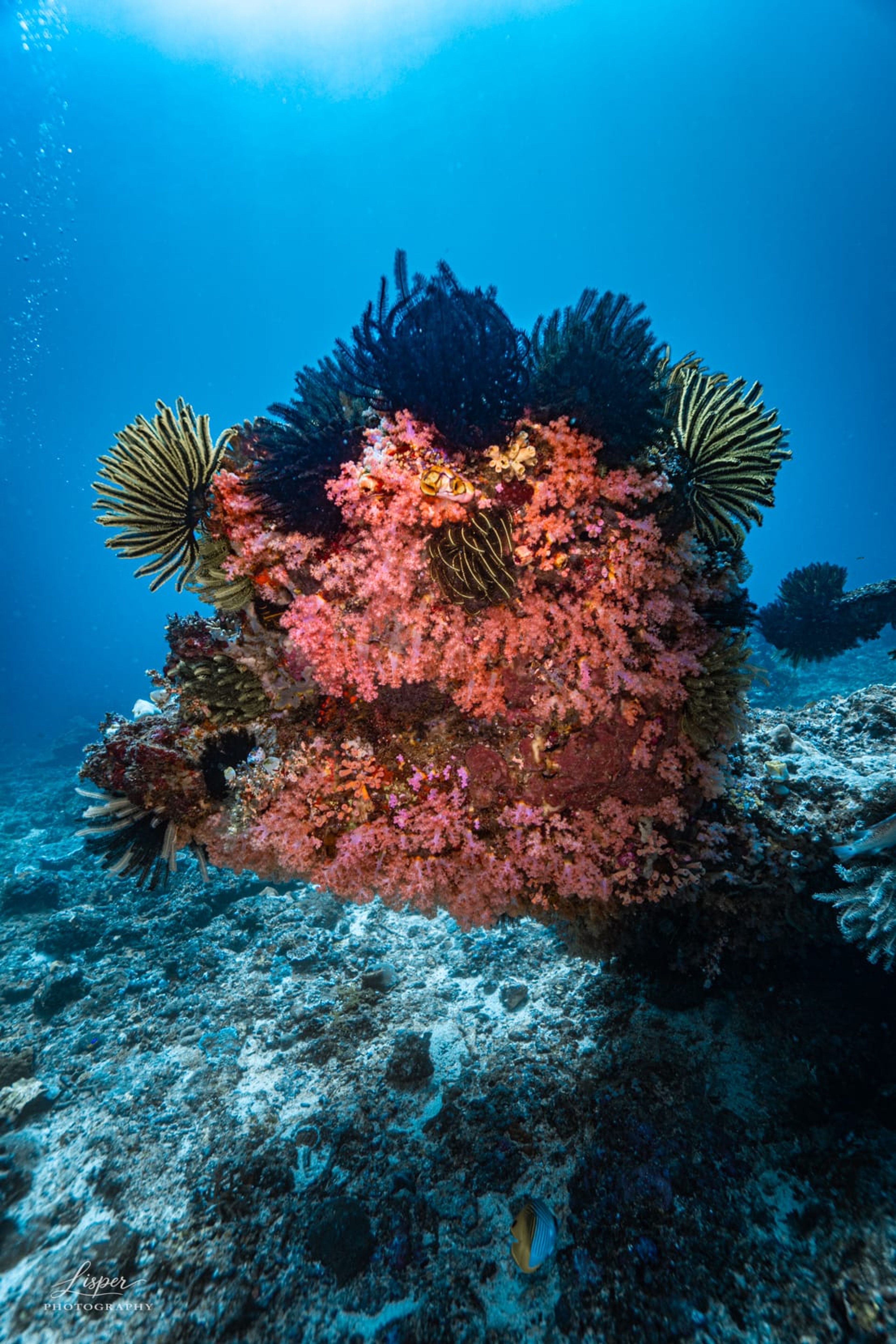Gili Tepekong