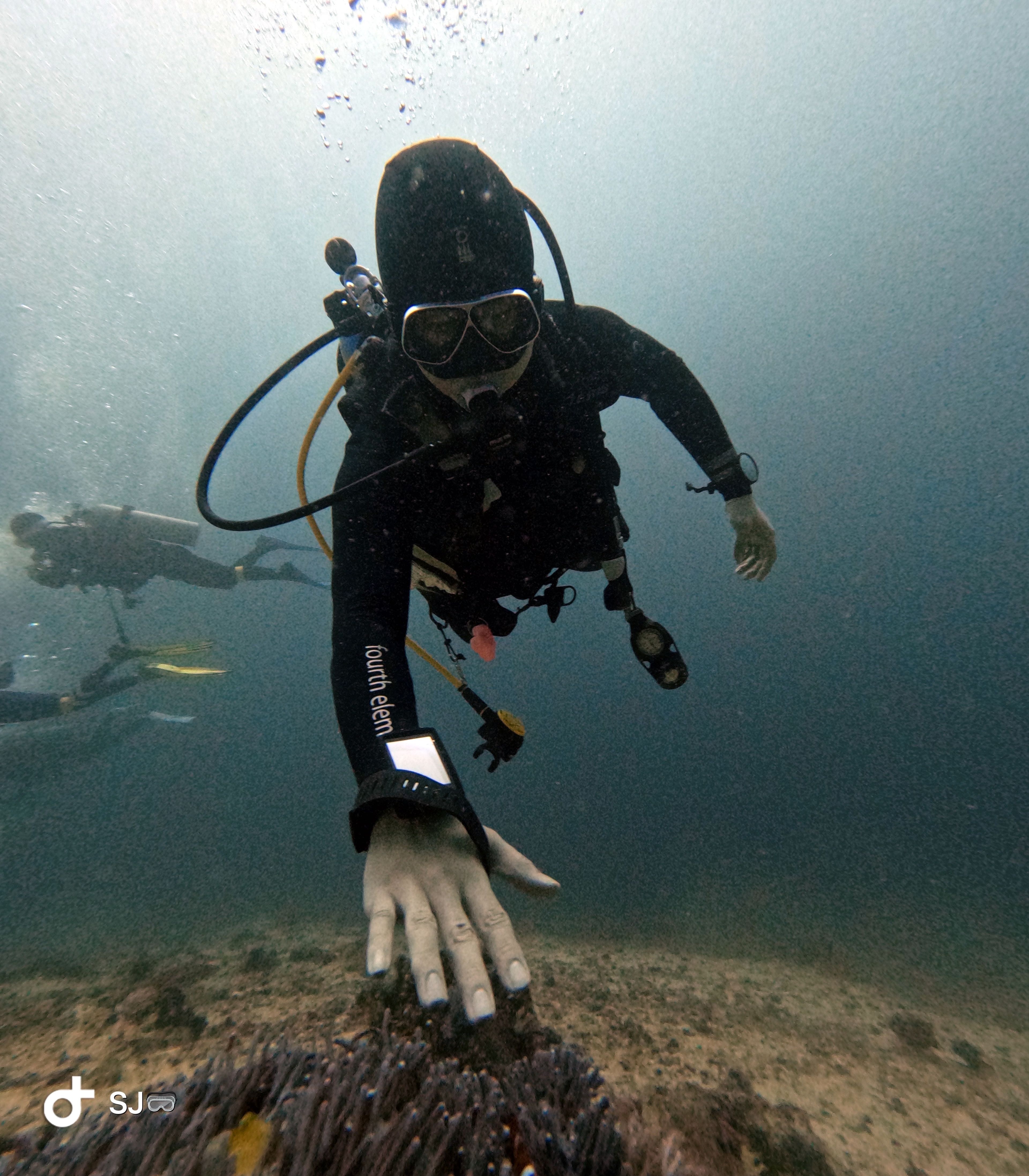 kyungdong kim's dive log