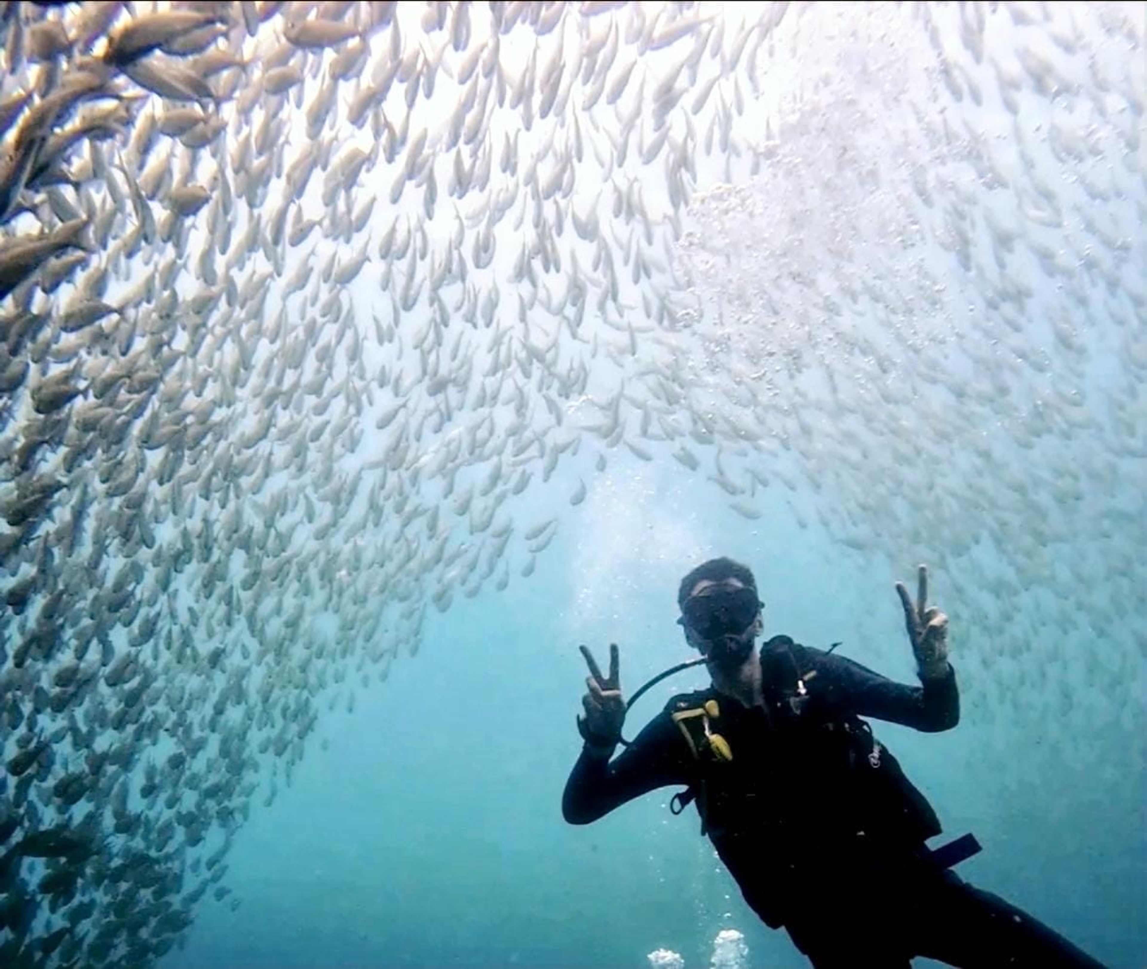 Diver#a.sparacio92