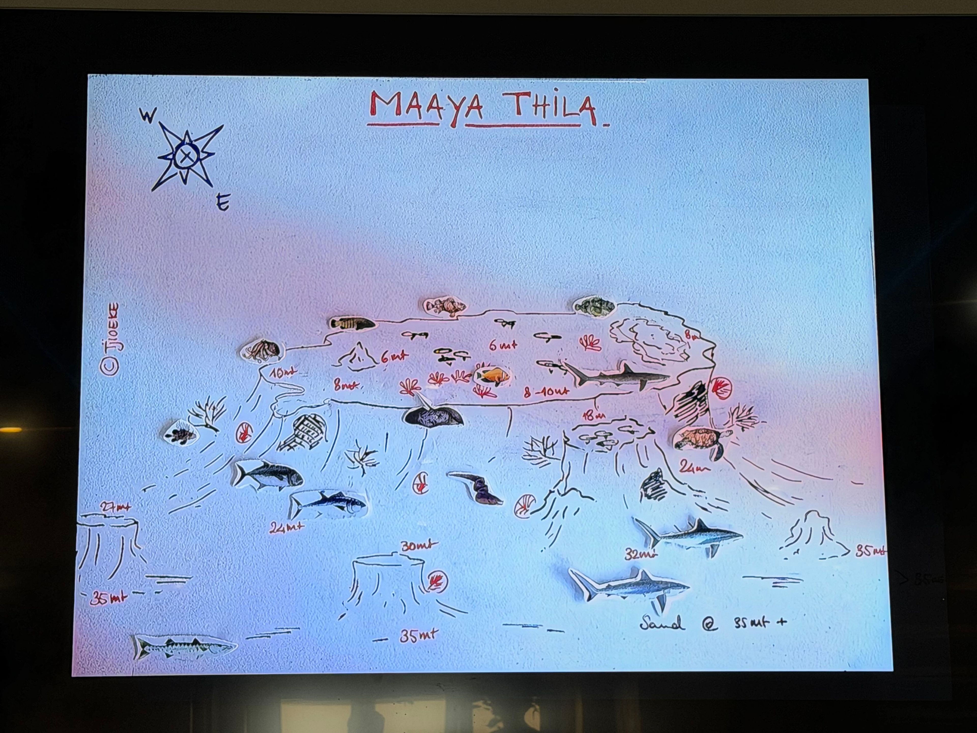 马尔代夫四方线Maaya Thila