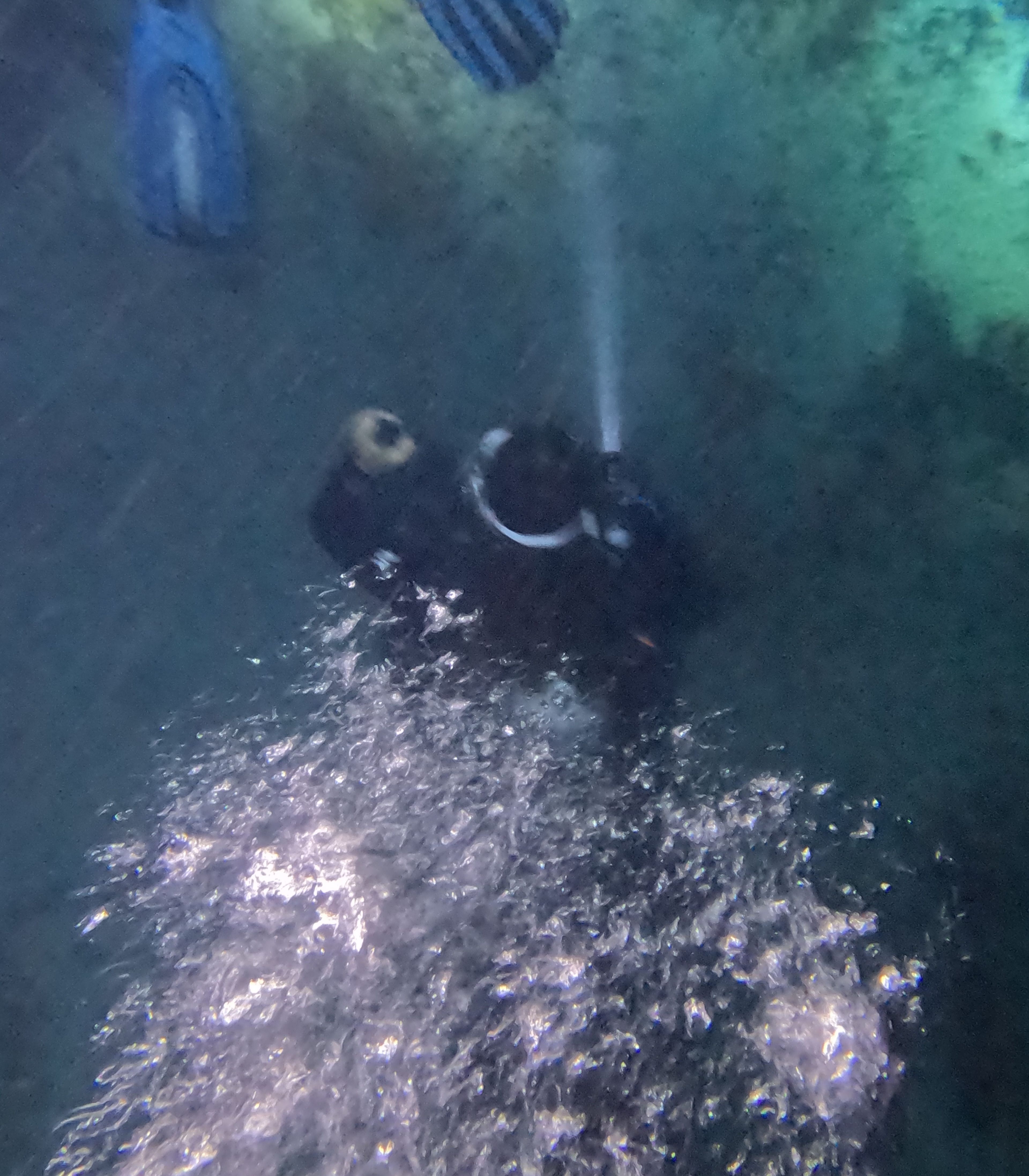 Oceanic+