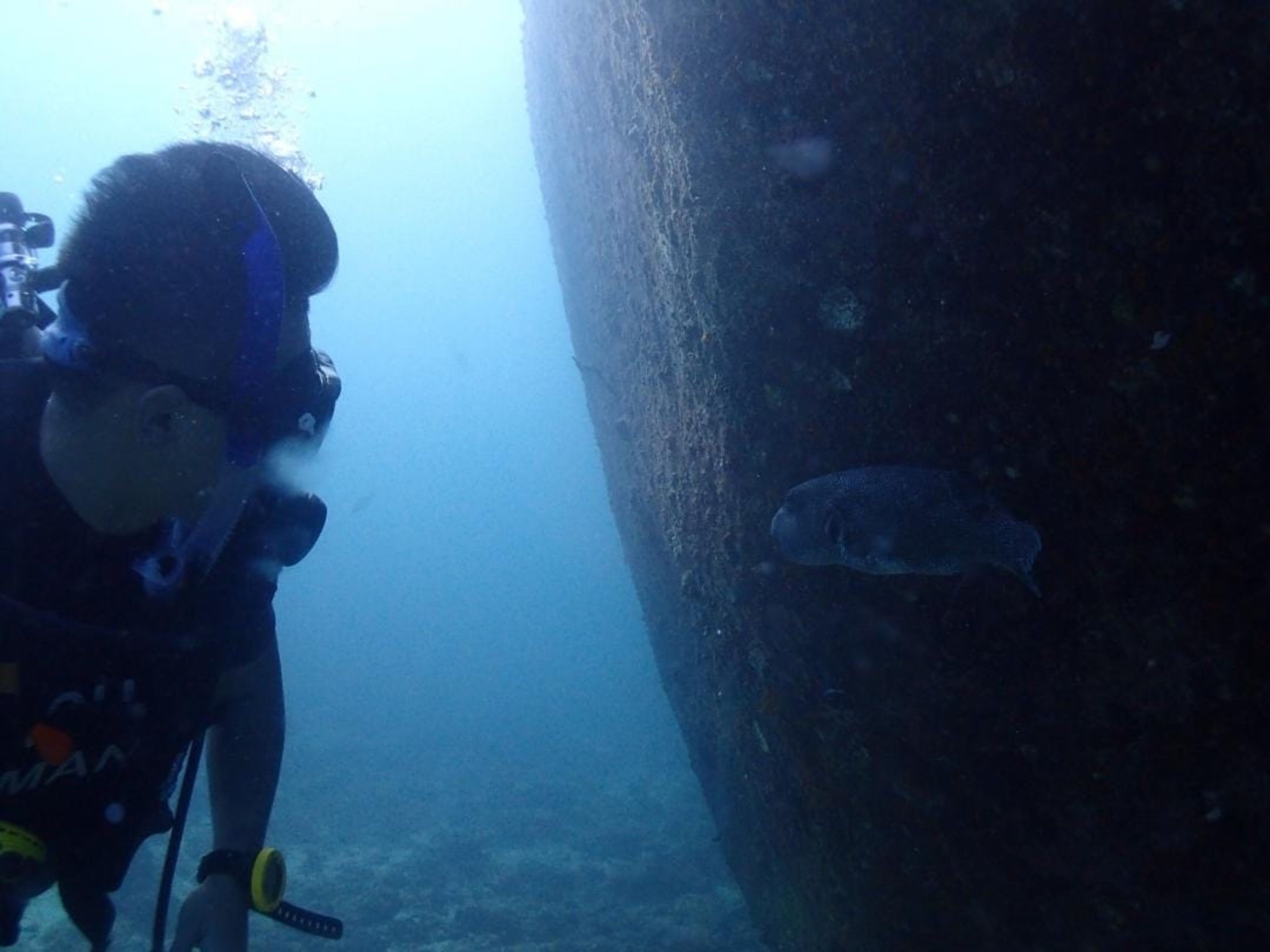 Scuba diving at Bungalow Bay, Racha Yai