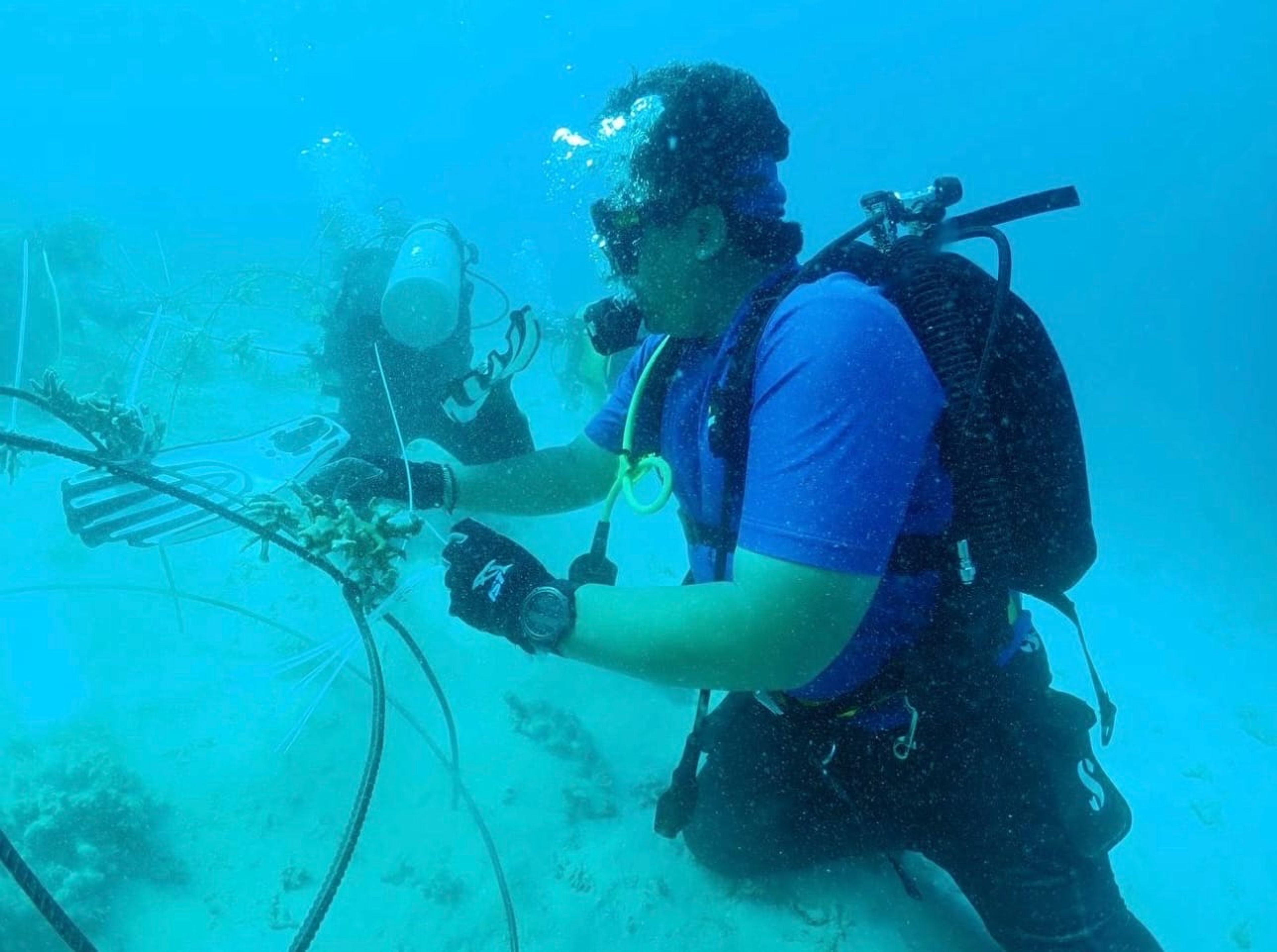 Pulau Aur Single-Gas Dive