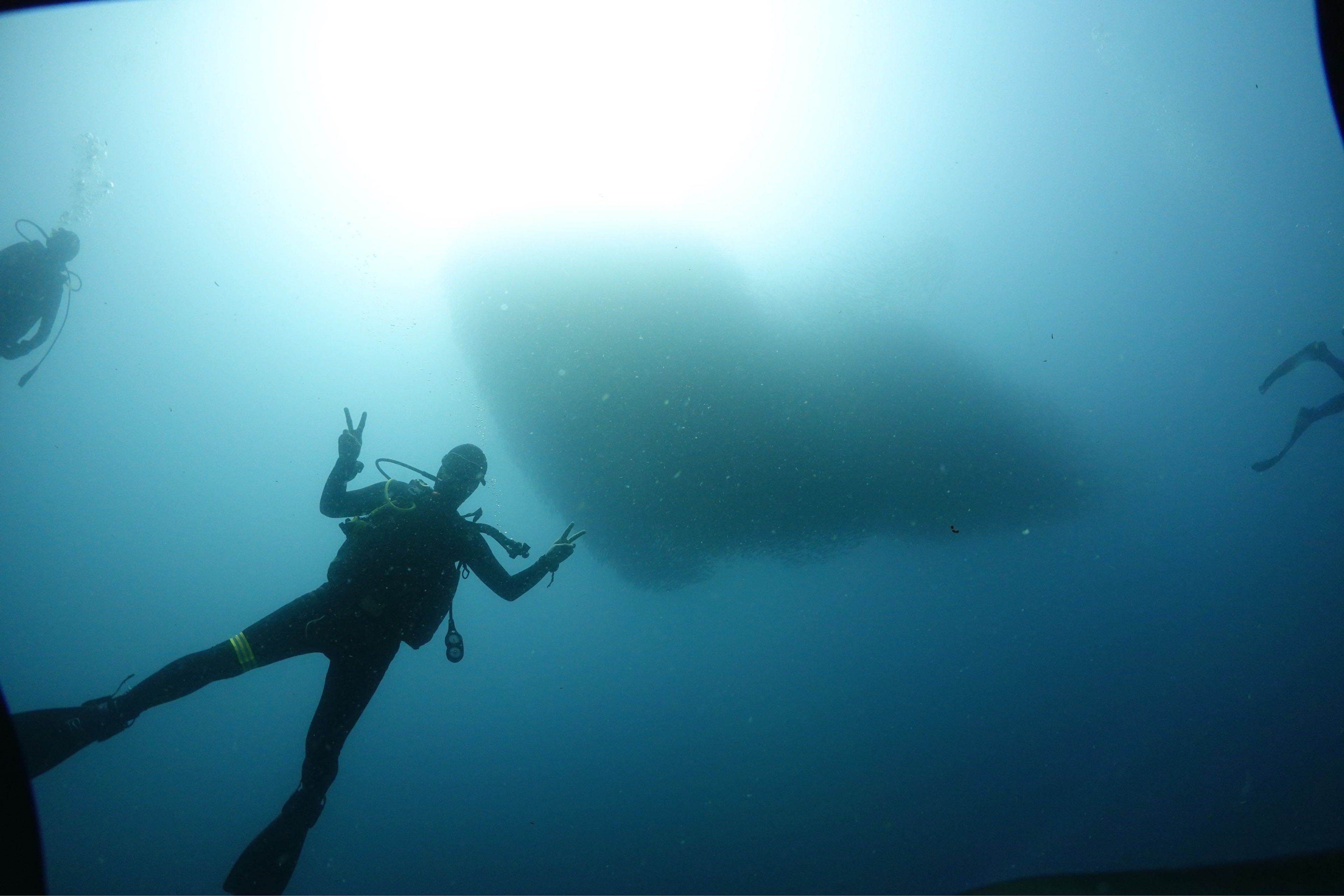 kyungdong kim's dive log